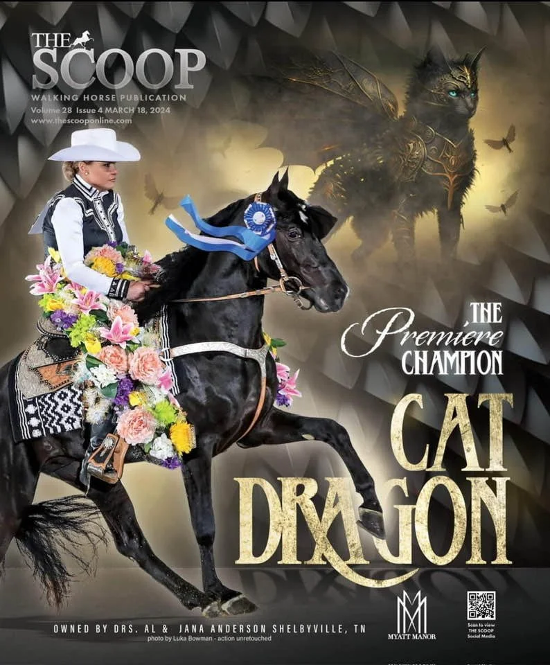 497553367_10018436658177629_4431152133191388163_n (1).jpg