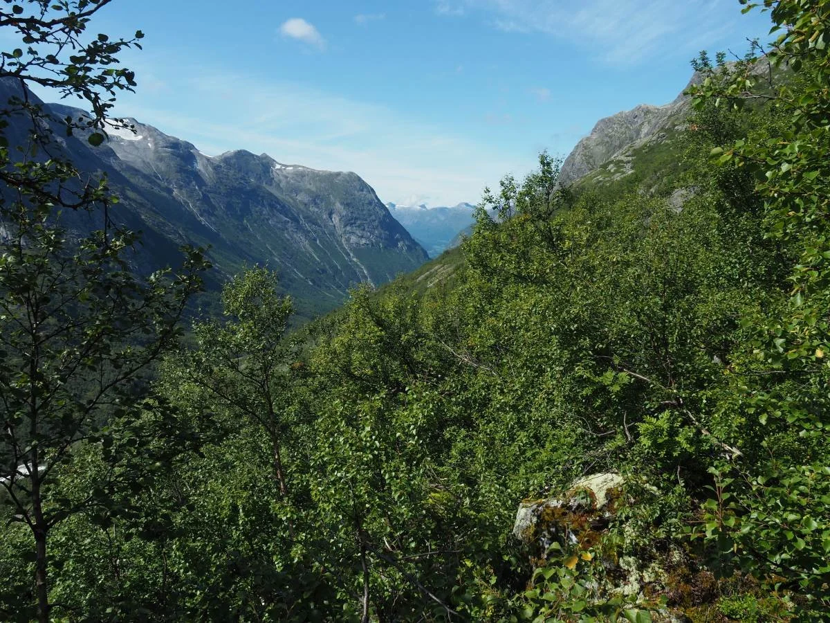 På veg. Utsyn mot Oppstryn.