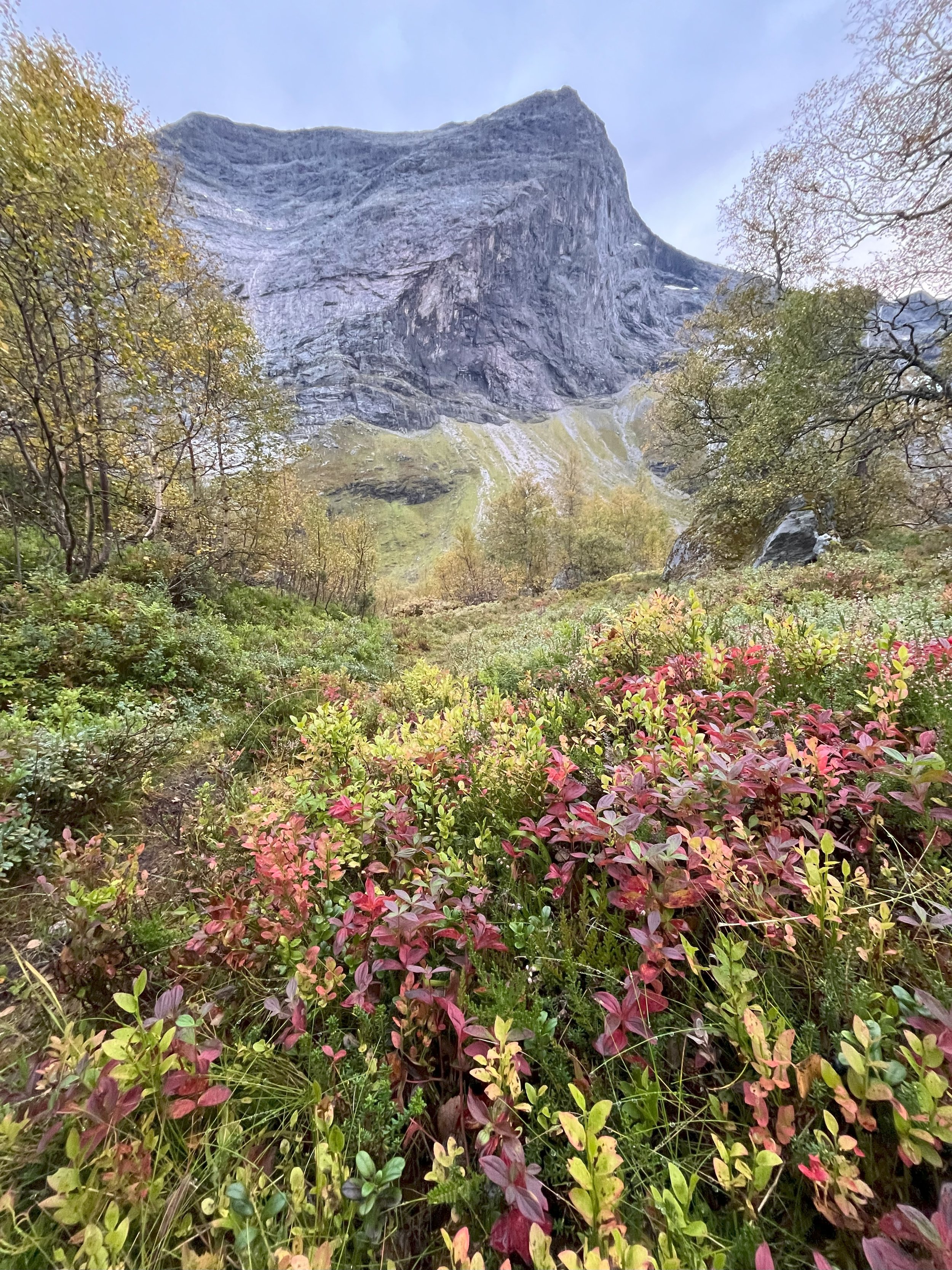 Tomefjellet 2.jpg