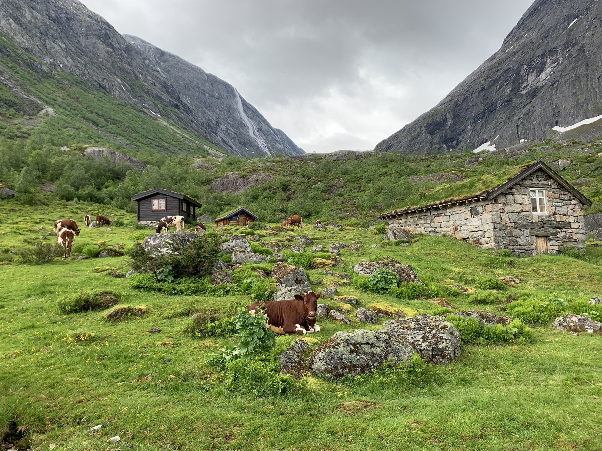 Vesledalen.jpeg