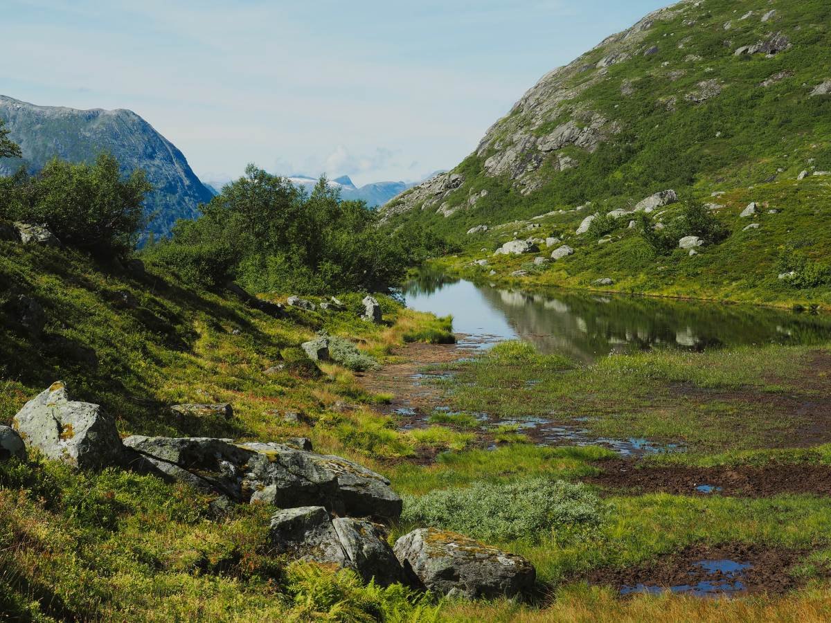 Idyllisk tjørn i Tverrelvskaret.