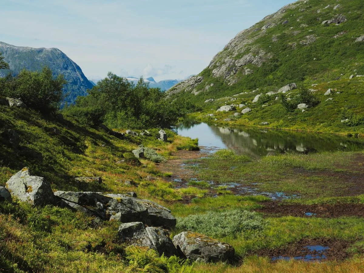 Idyllic tarn in Tverrelvskaret.