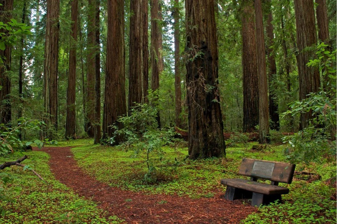 Summer 2026 News from Howling Sonoma Experiences