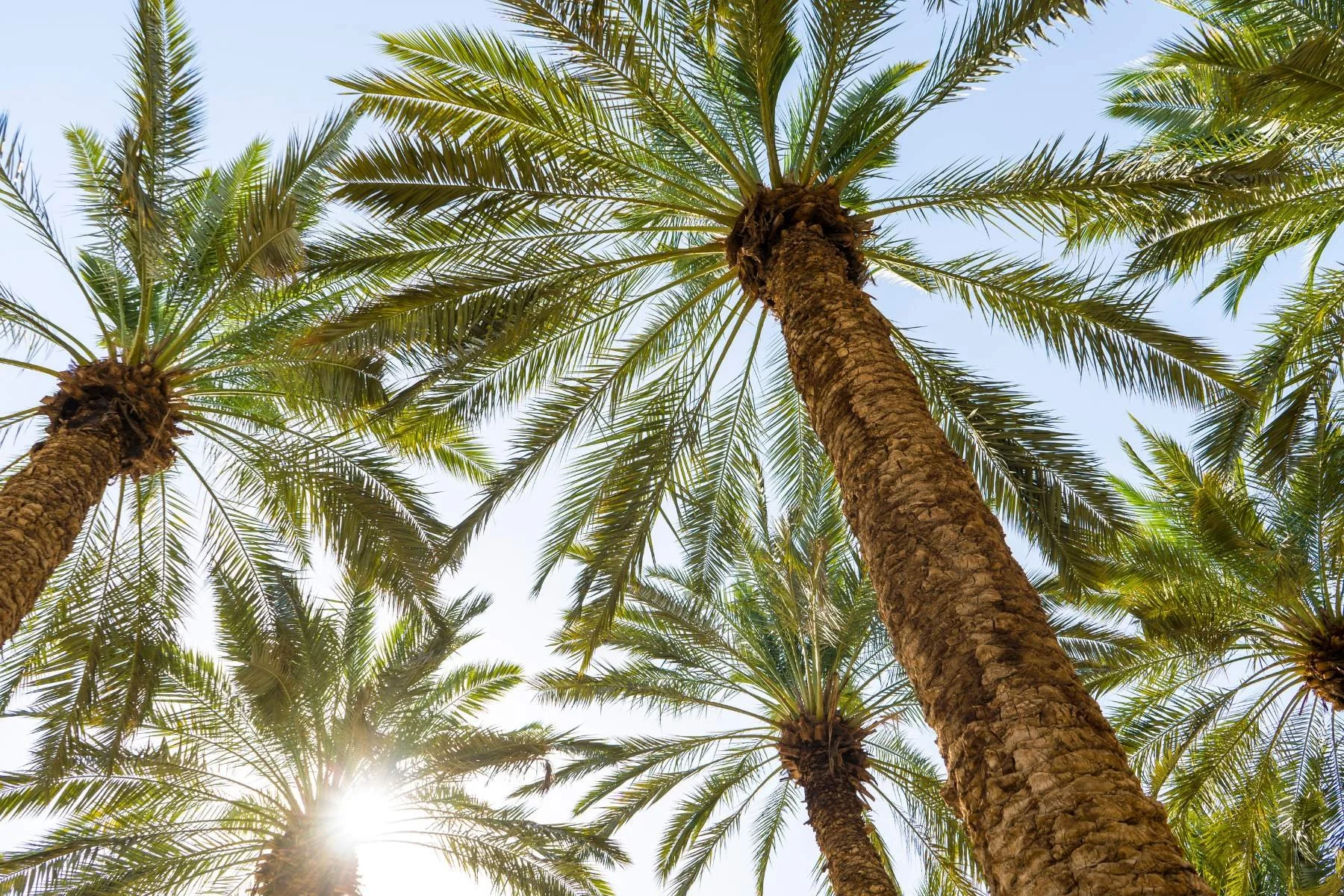 Colon Hydrotherapy After Travel, Stress, or Diet Changes