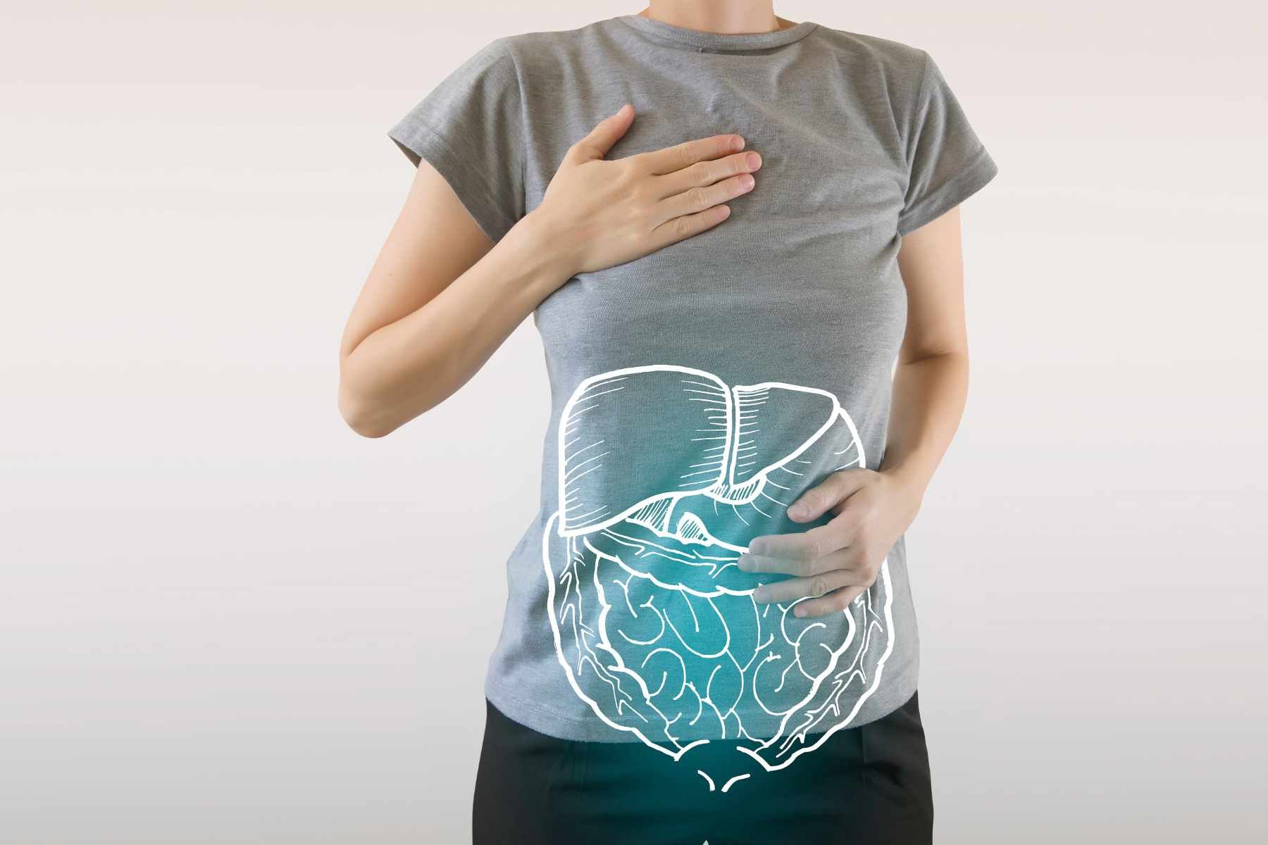 Understanding the Long Term Effects of Alcohol on the Digestive System ...