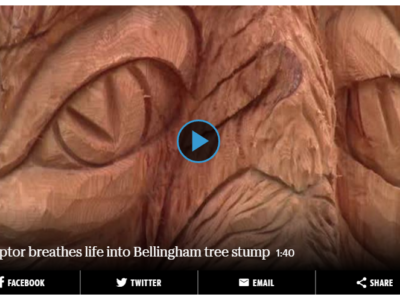 Close-up of a carved tree spirit created by chainsaw sculptor Tomas Vrba into a local tree stump.