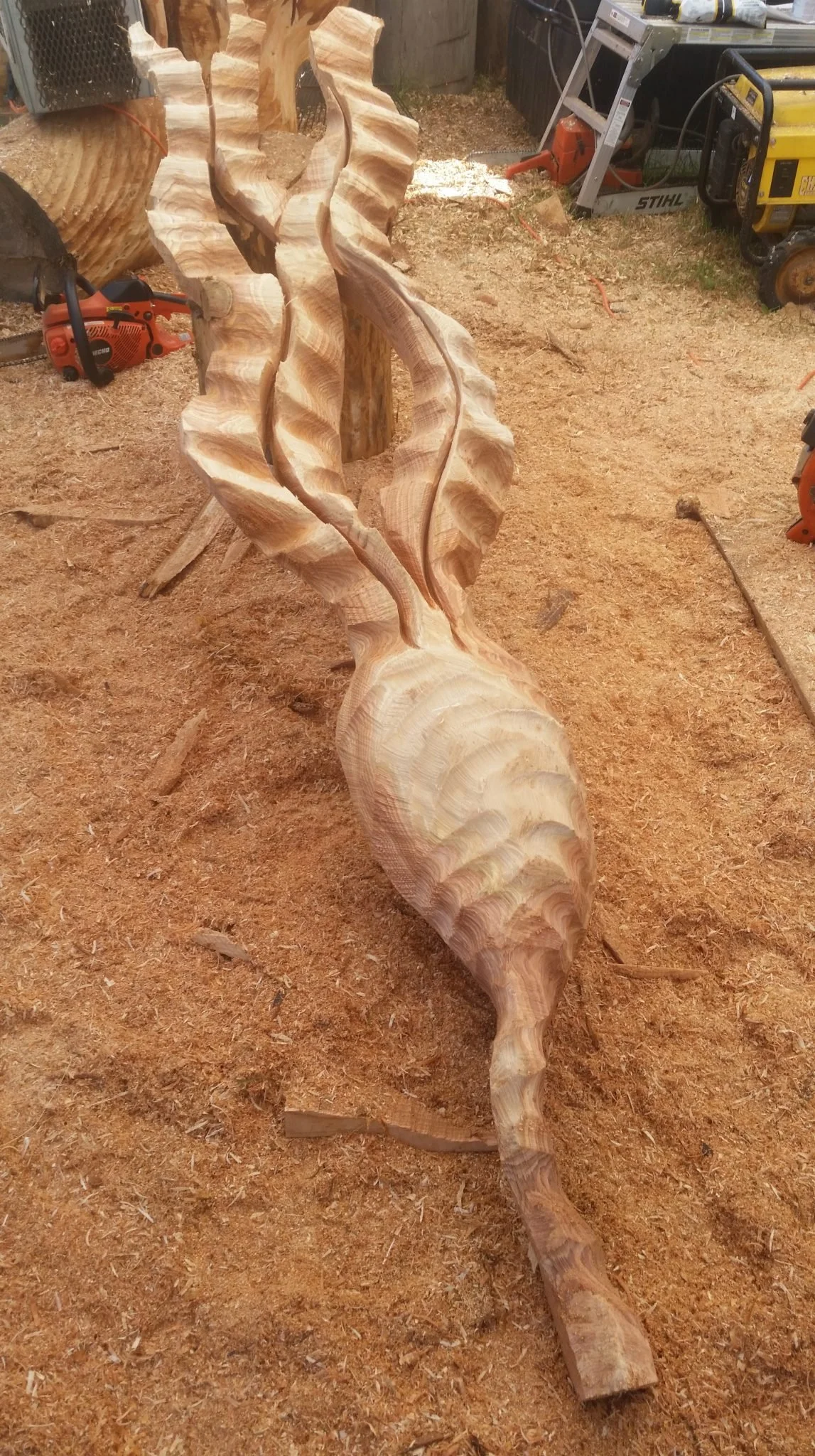 chainsaw carved kelp blocked.jpg