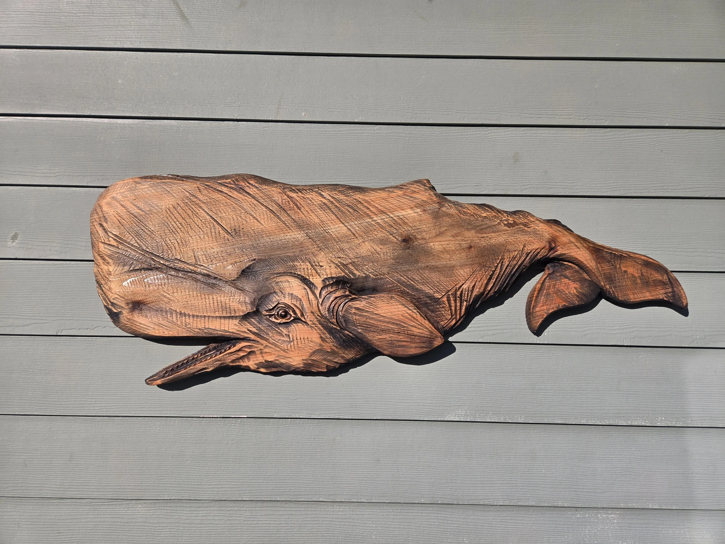 BW Sperm Whale W1.jpg