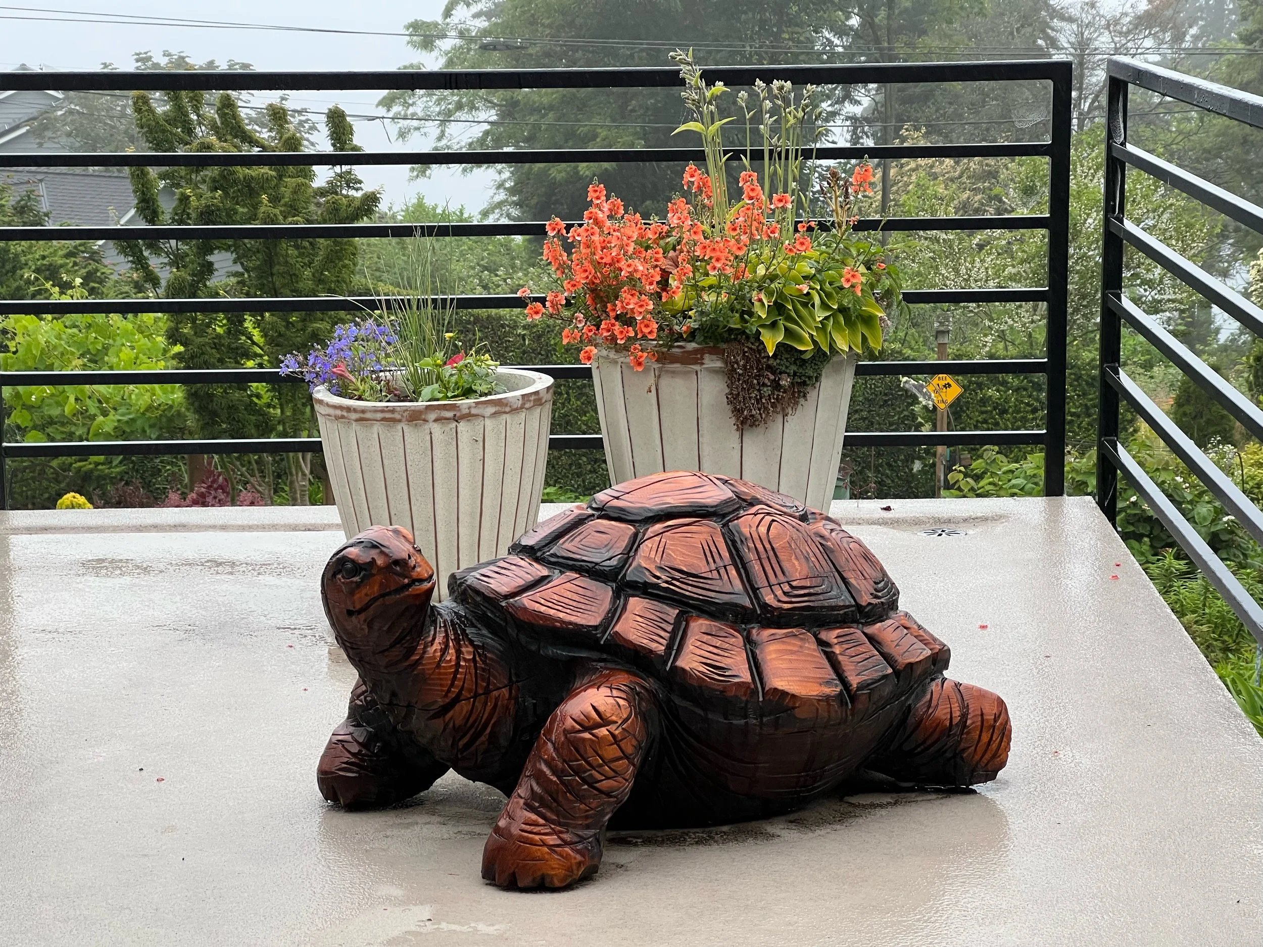 Small Turtle Chainsaw Carved Wood Sculpture Tomas Vrba