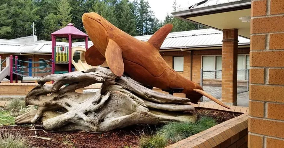 Orca Mascot on Driftwood Chainsaw Carved Wood Sculpture Tomas Vrba