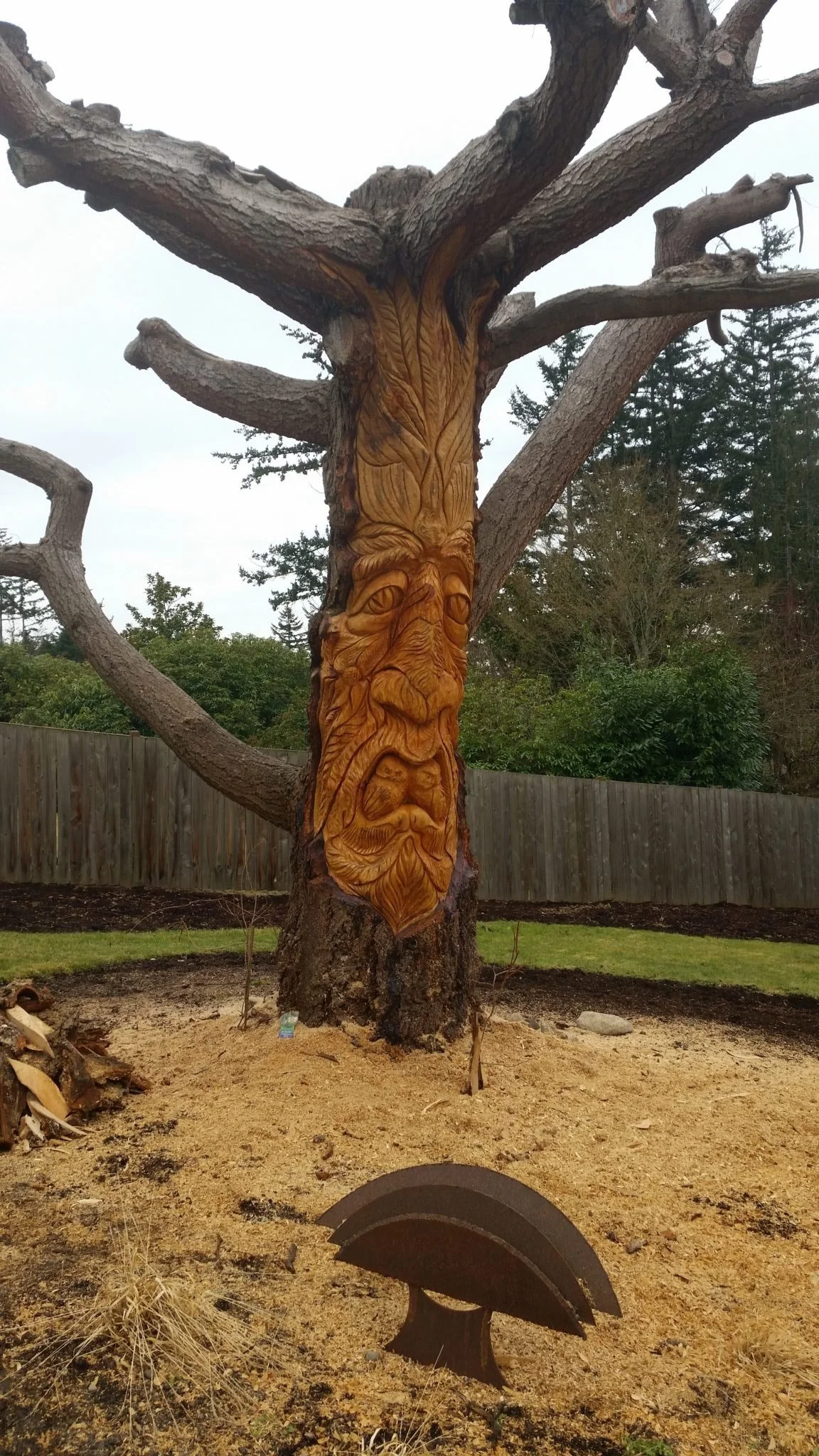 By Tomas Vrba of Everett WA completed tree spirit chainsaw sculpture