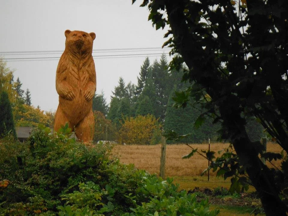 Bear Chainsaw Tree Stump Sculpture Tomas Vrba