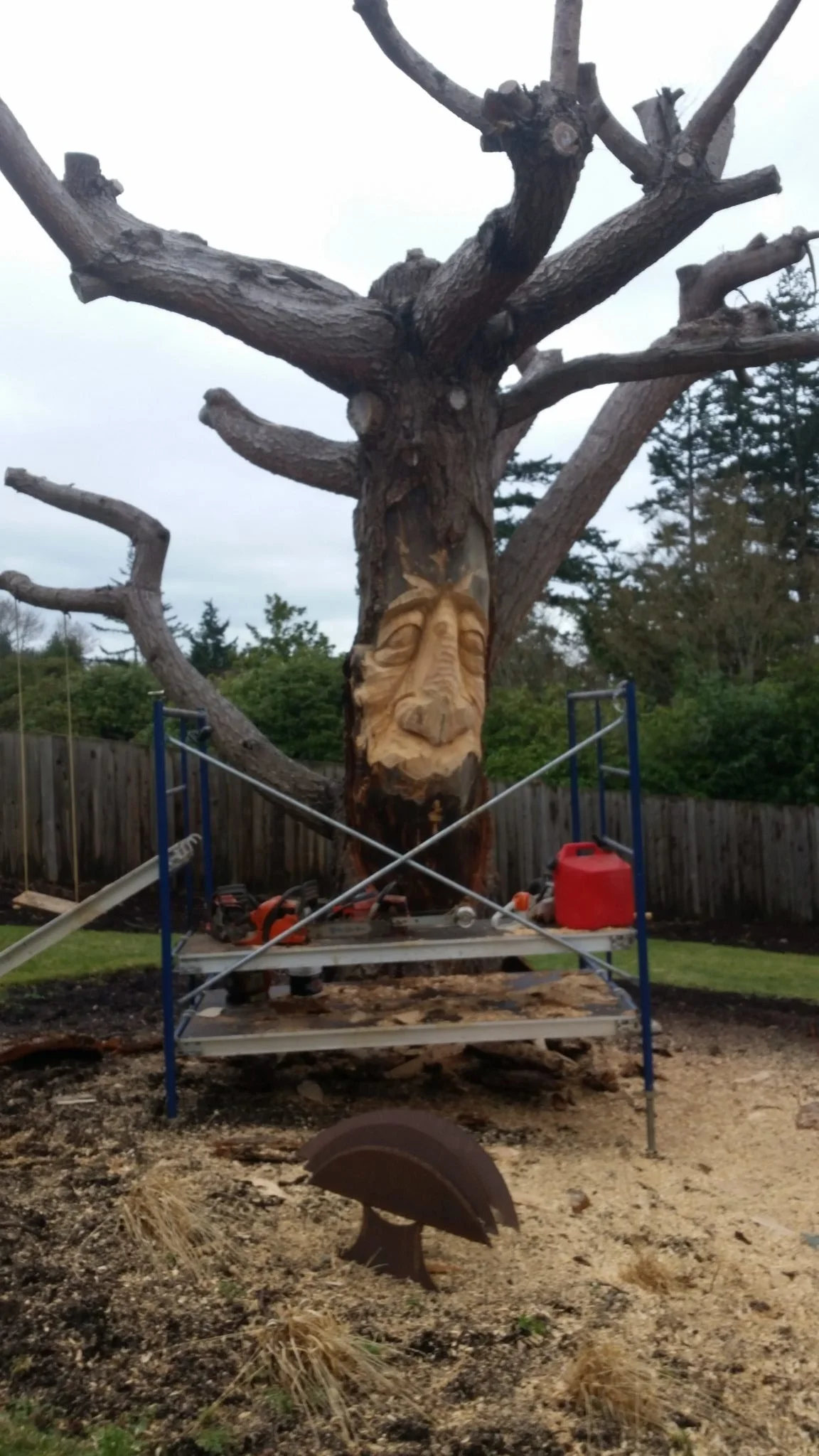 tree spirit sculpture in progress by chainsaw carver Tomas Vrba of Everett WA