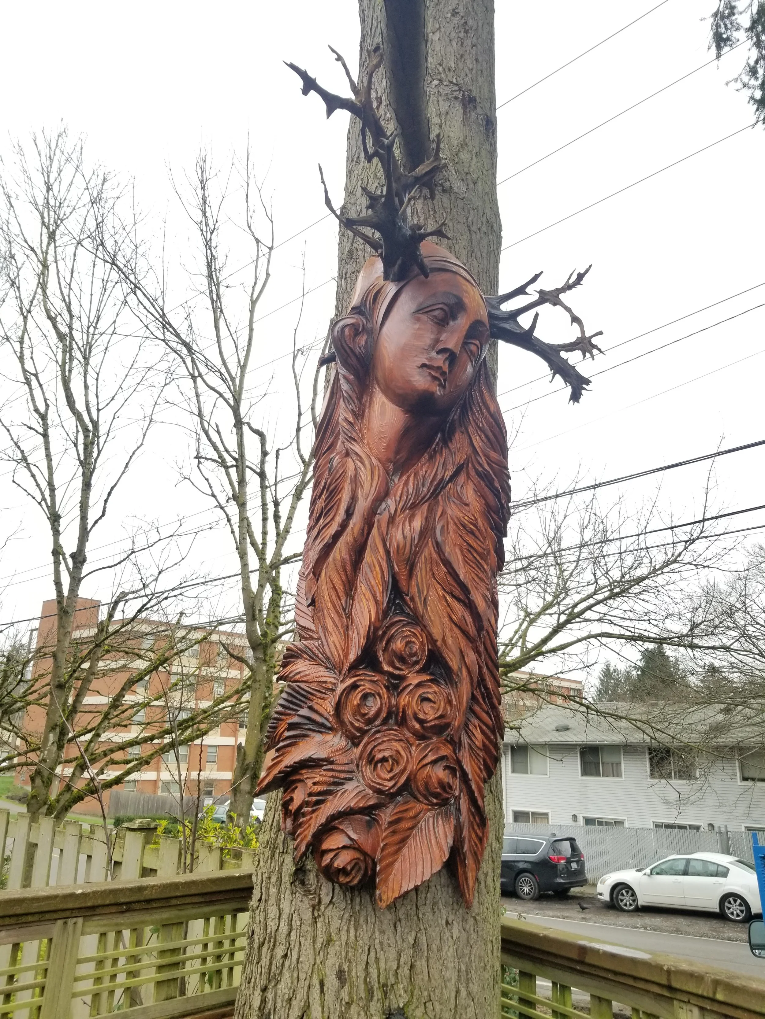 Face of Woman on Tree Chainsaw Carved Wood Sculpture Tomas Vrba