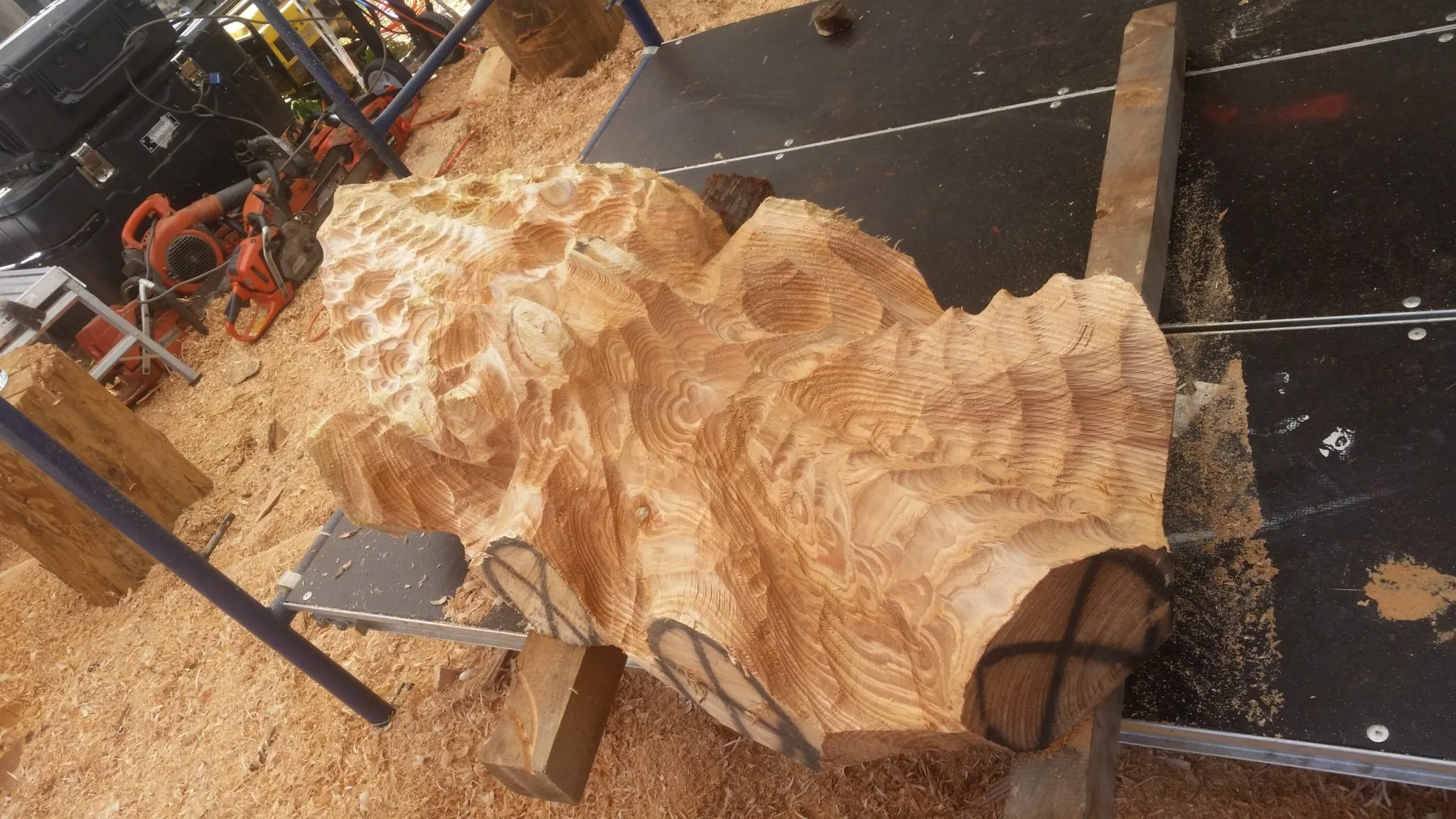 chainsaw carver Tomas Vrba of Everett WA blocking octopus body for giant sculpture