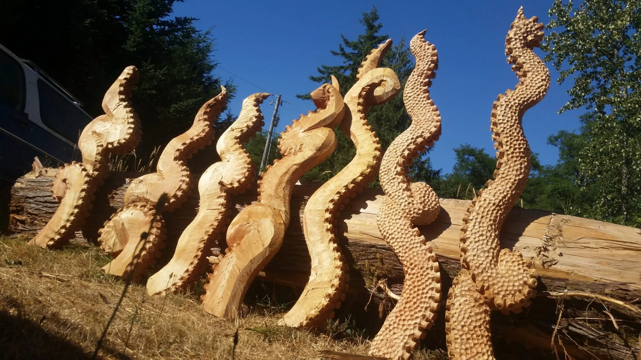 chainsaw carved octopus tentacles lined up at Everett WA studio of sculptor Tomas Vrba