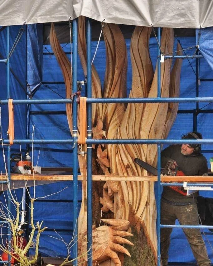 Tomas Vrba Creating a Tree Stump Sculpture of Abstract Waves