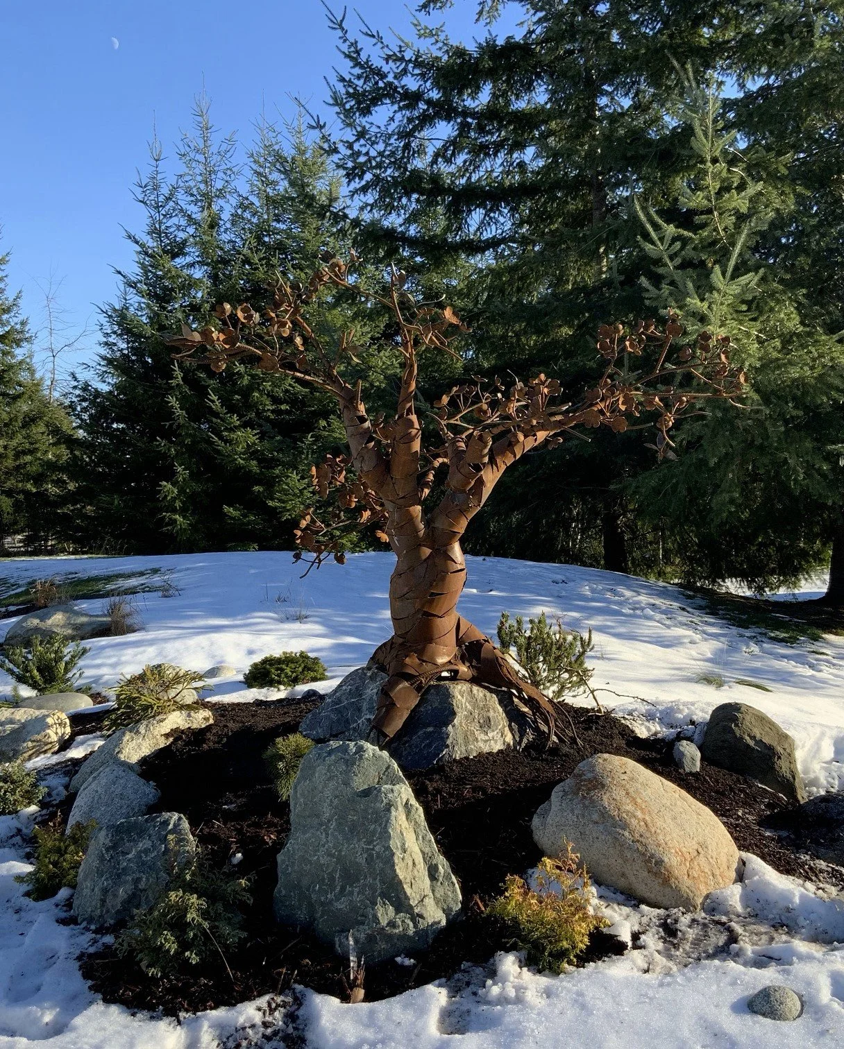 Outdoor Metal Tree Sculpture Tomas Vrba