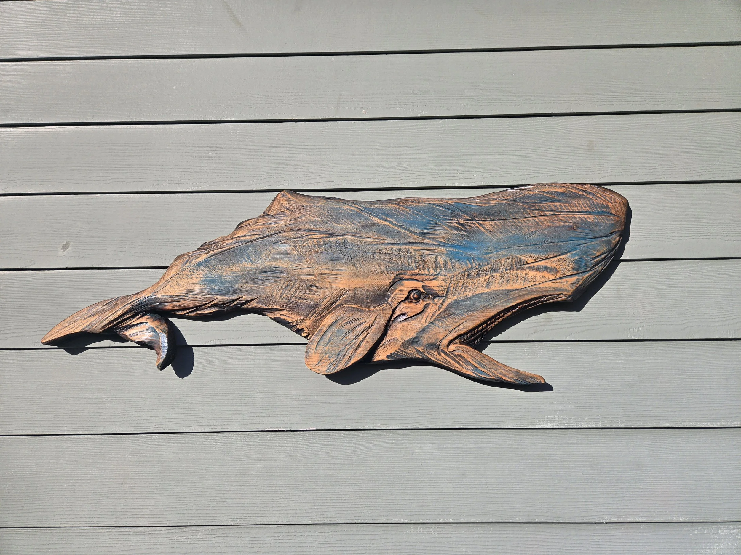sperm whale W2.jpg