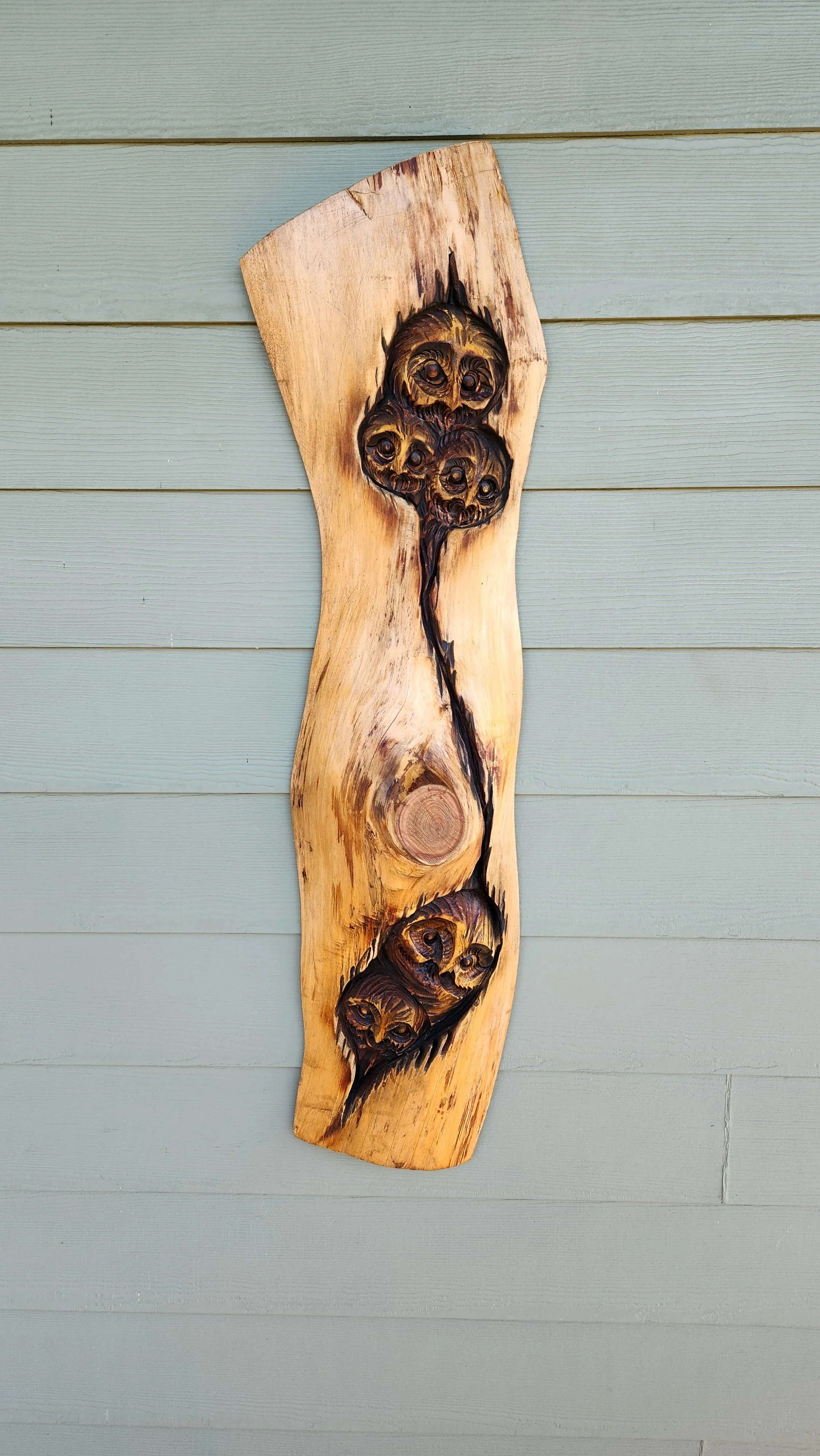 Owl carved with a chainsaw into reclaimed cedar with live edge, by wood sculptor Tomas Vrba of Bellingham, WA 