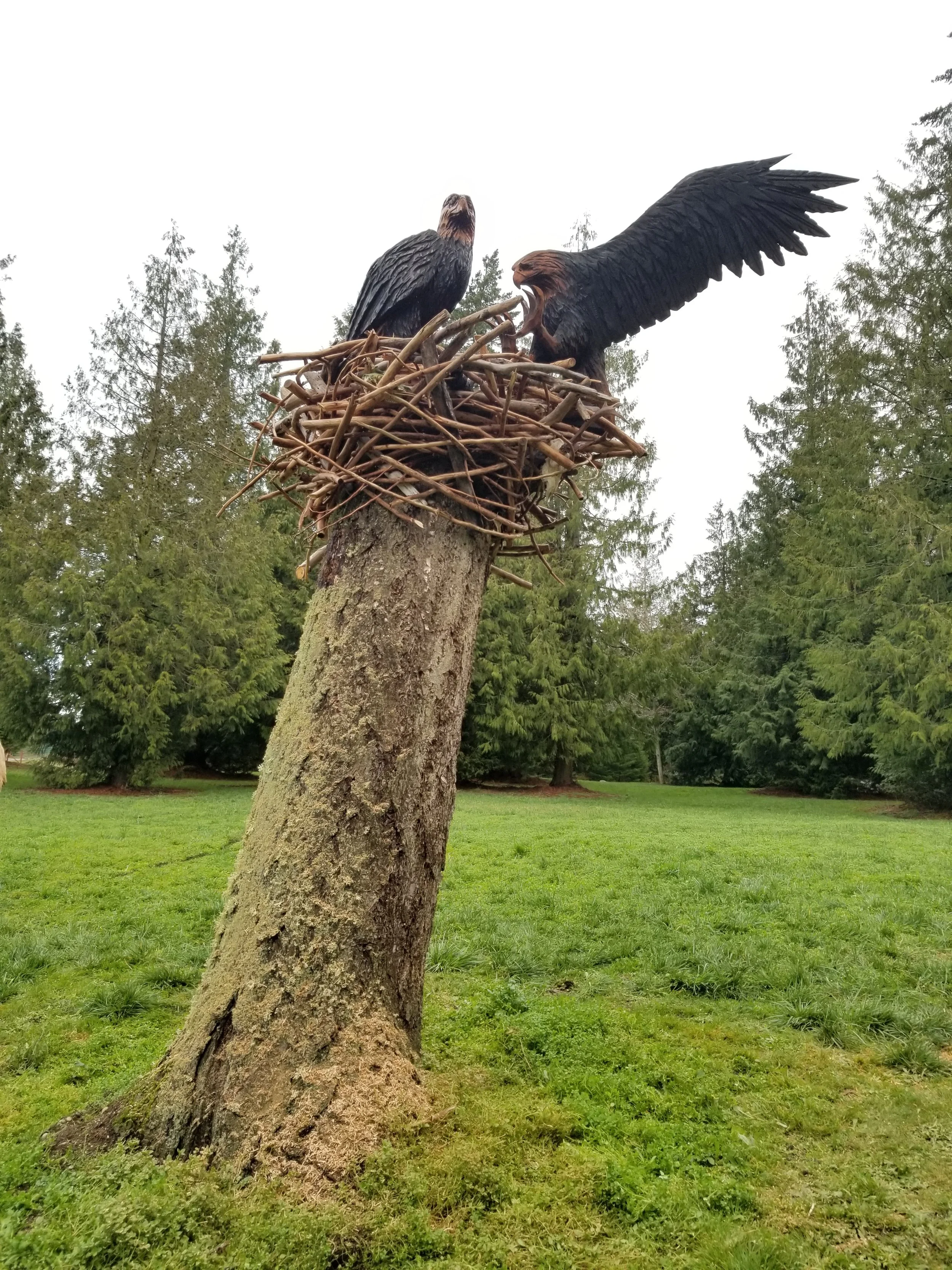 Eagles Mounted on Nest Chainsaw Carved Wood Sculpture Tomas Vrba