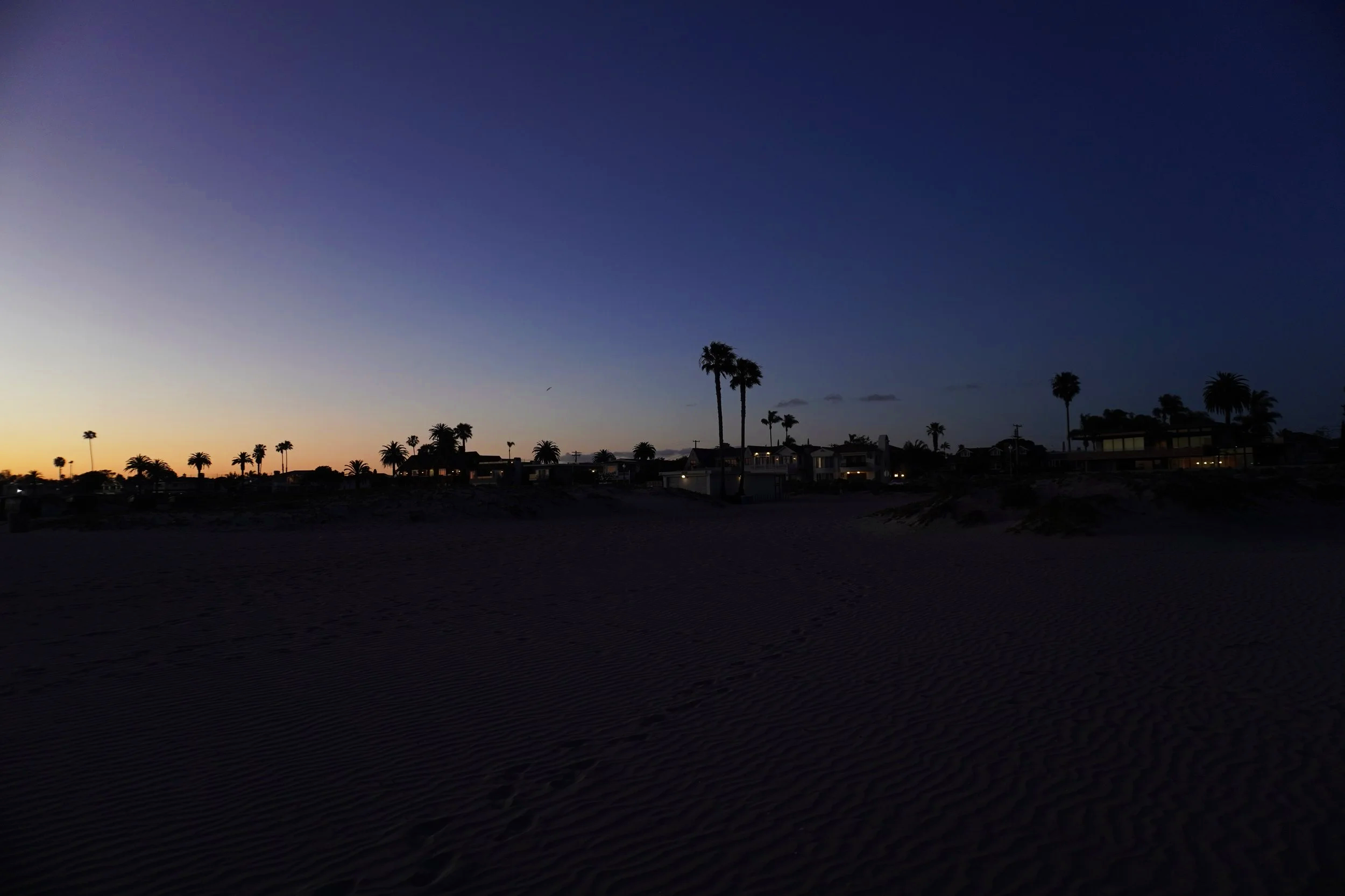 DSC02934.png