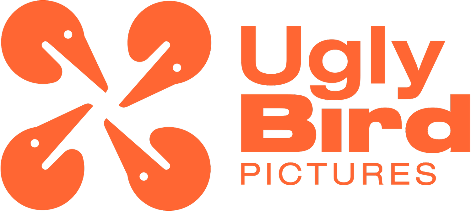Ugly Bird Pictures