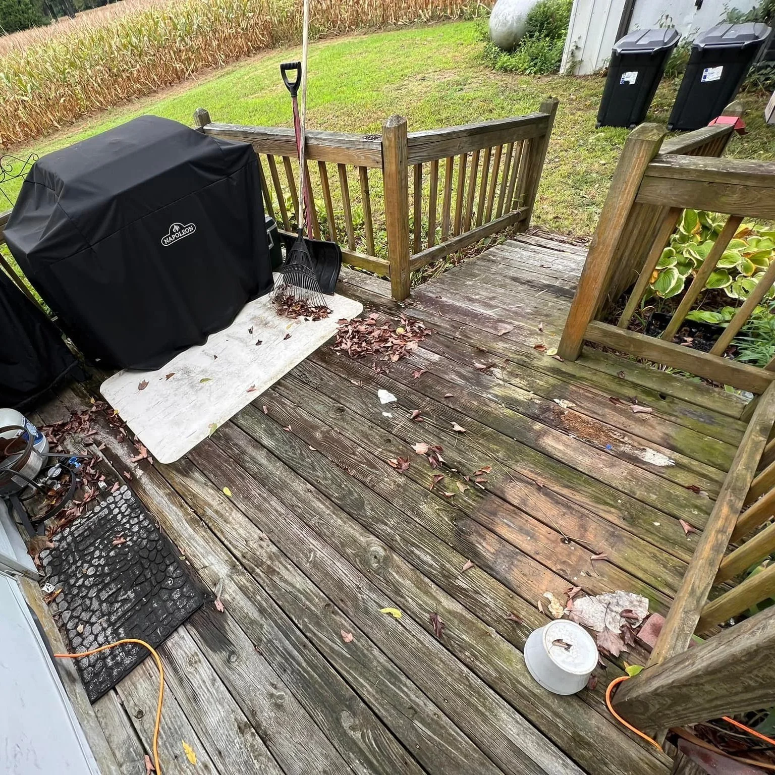 decknew2.jpg