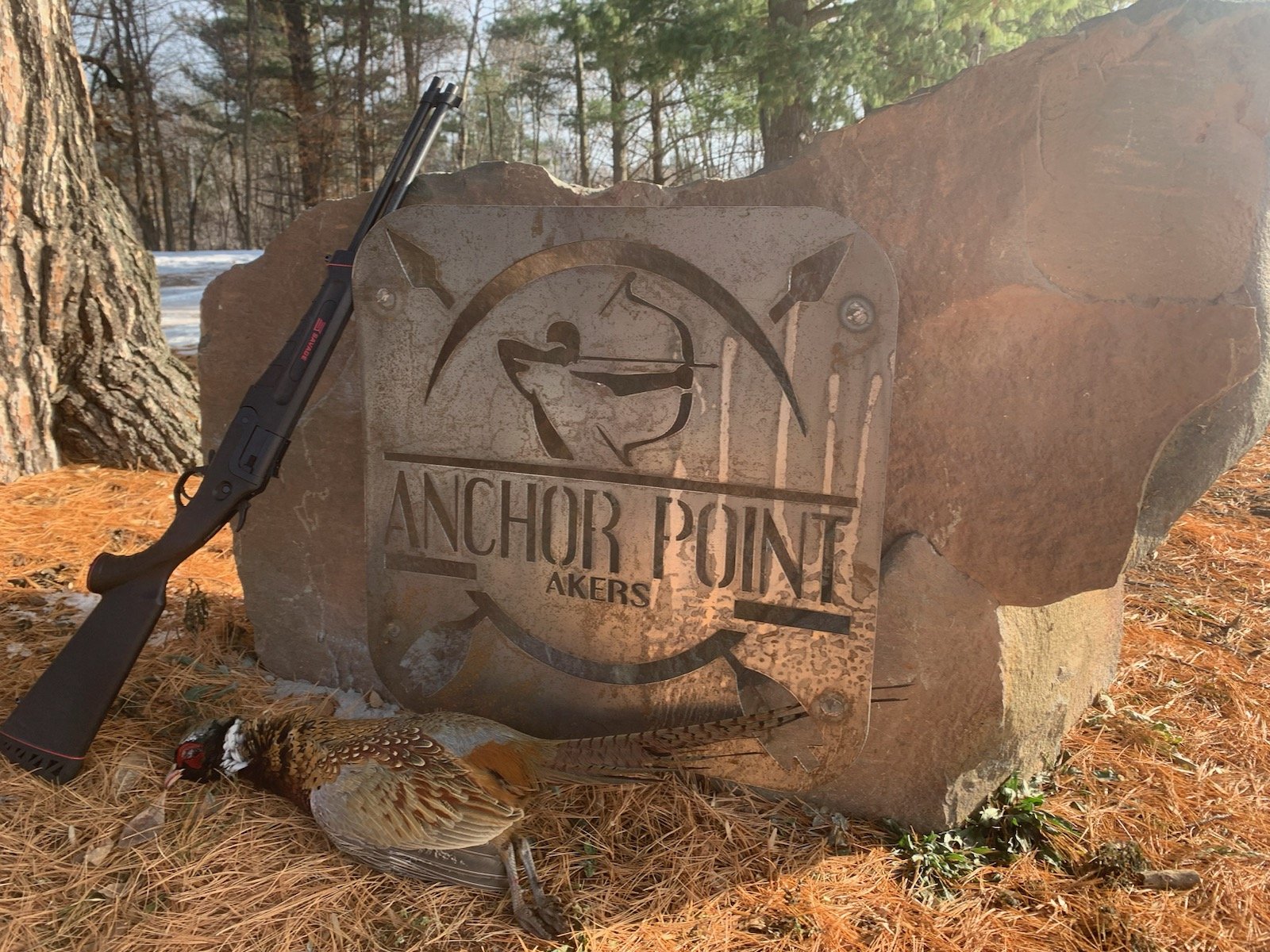Anchor Point-Wild