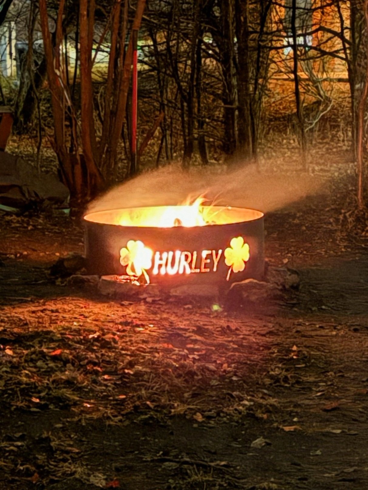 Hurley - In the Wild