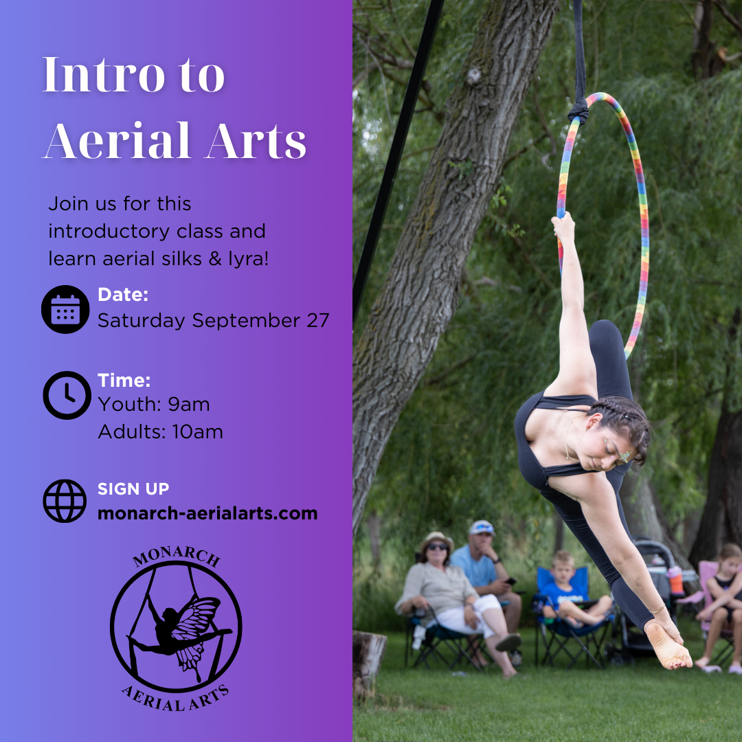 Intro to Aerial Arts