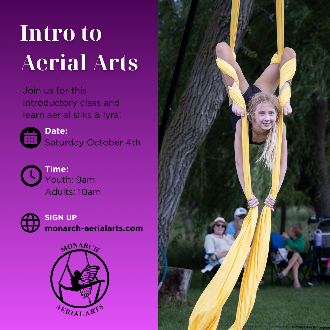 Intro to Aerial Arts