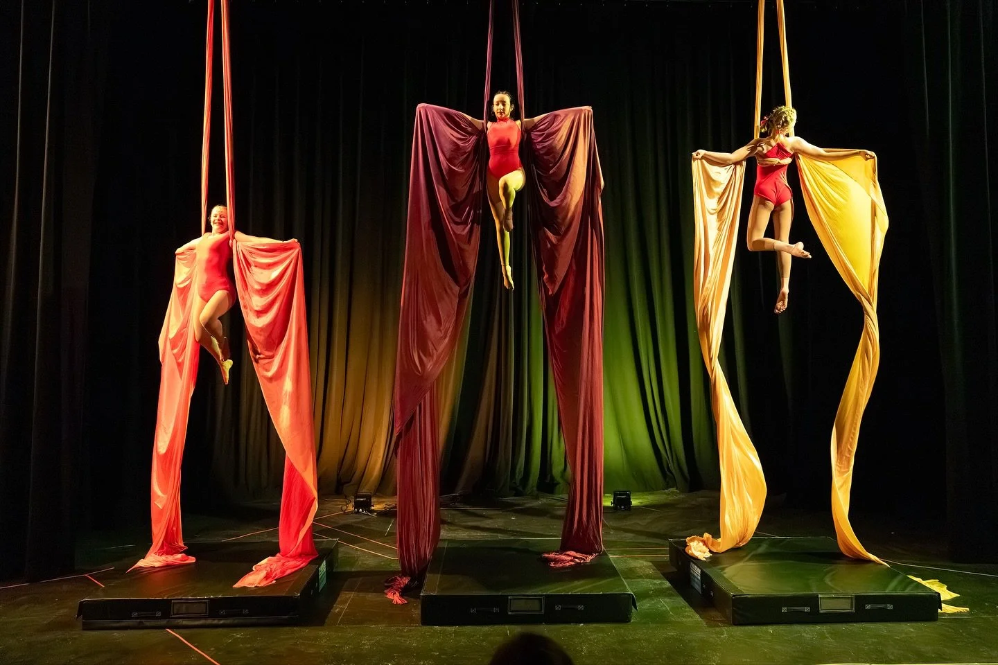 Photos from the first act of Cirque du Scream - a trio by Nara, Ruby &amp; Arianna to Everybody Scream by Florence + The Machine ❤️

#aerialdance #aerialarts #aerial #aerialsilks #aerialist