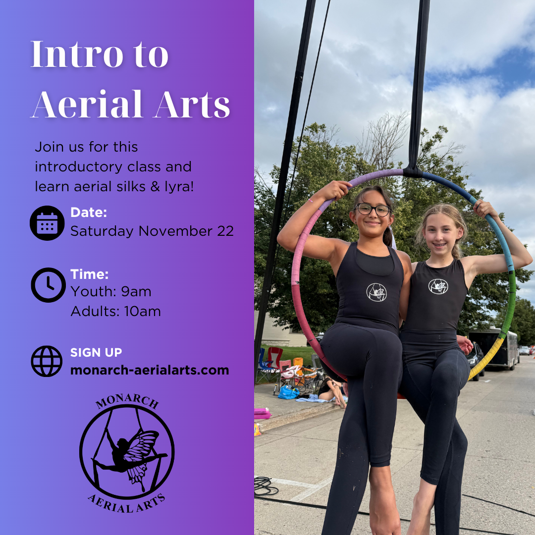 Intro to Aerial Arts