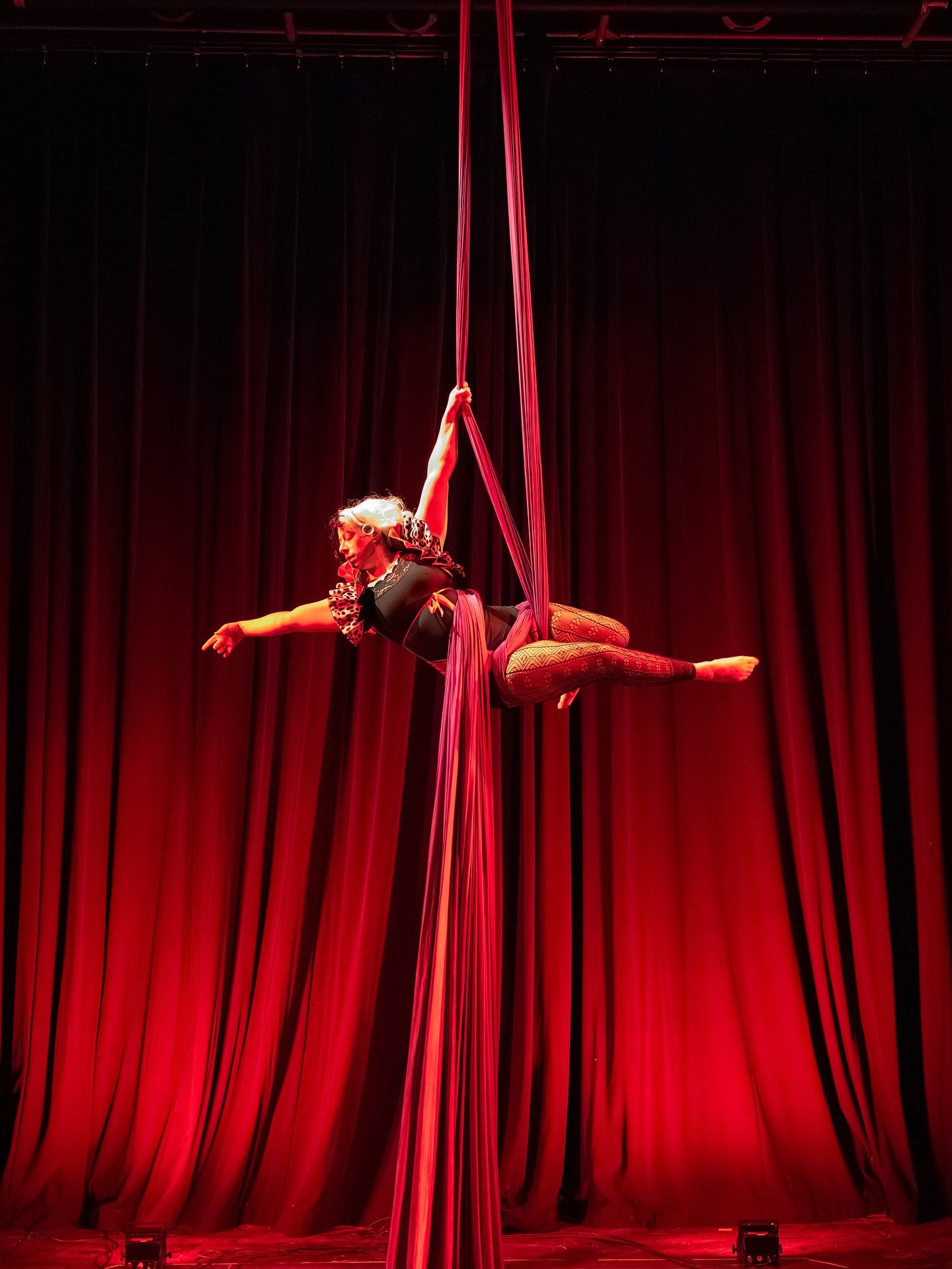 Gorgeous shots of MJ as Cruella de Vil in our showcase last month ❤️ 

📸 @hopewelljim 

#aerial #aerialsilks #aerialarts #aerialdance #aerialist #aerialistsofinstagram
