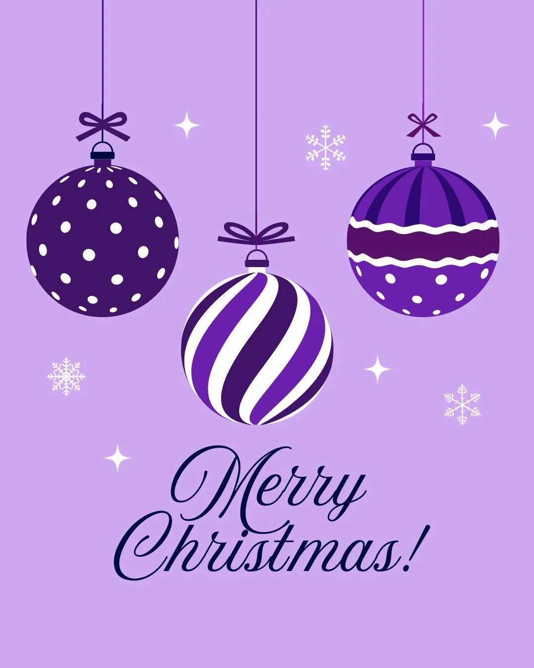 Merry Christmas from Monarch Aerial Arts. May your holiday be filled with warmth, laughter, and a little extra sparkle.