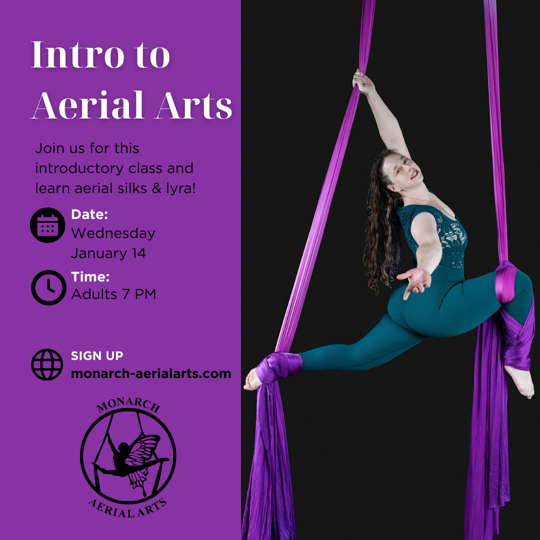 Adult Intro to Aerial Arts