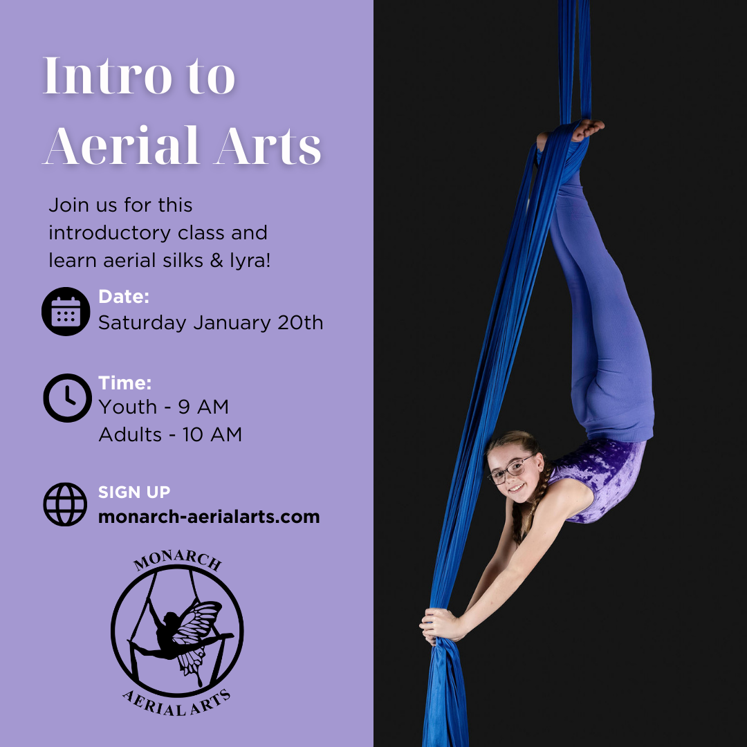 Intro to Aerial Arts