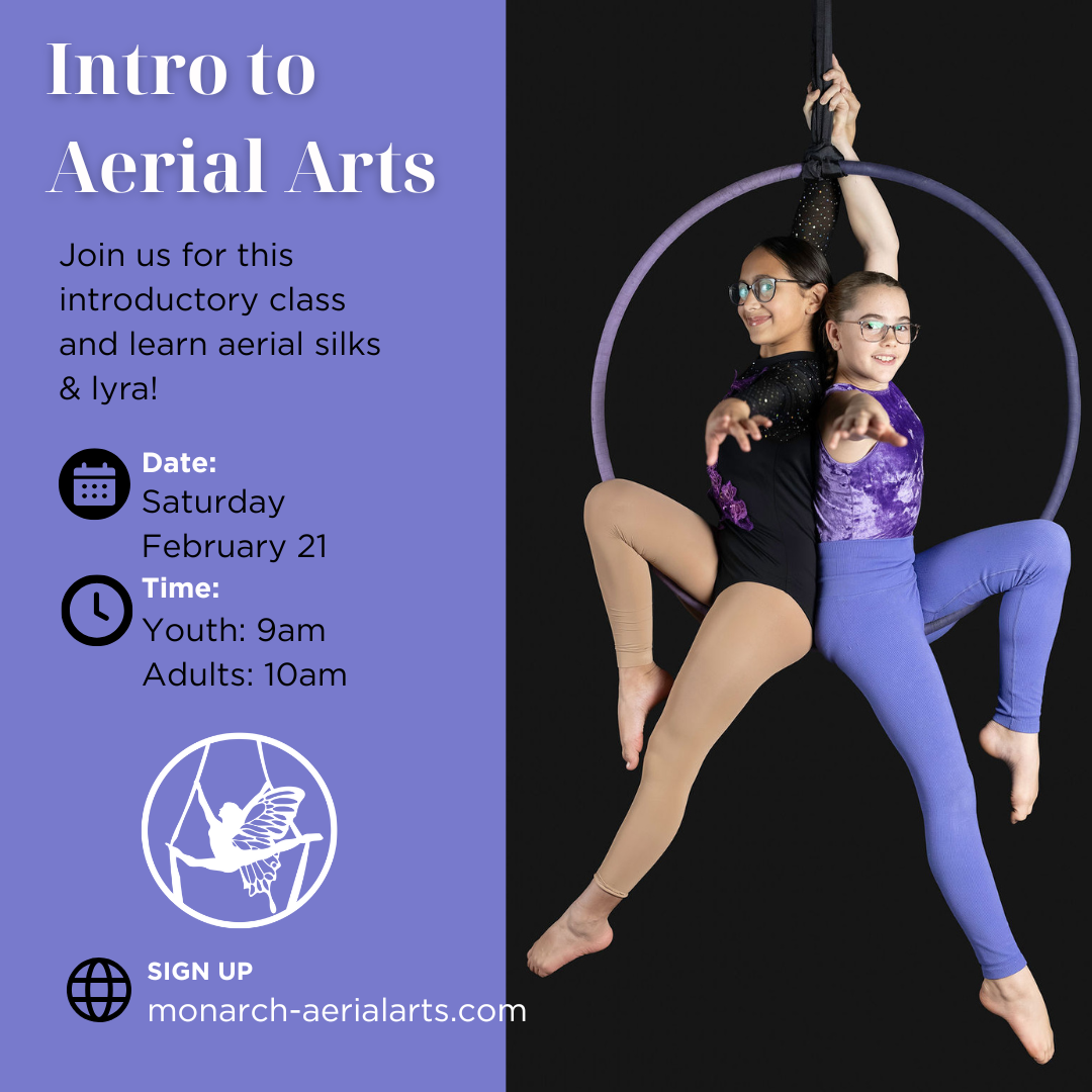 Intro to Aerial Arts