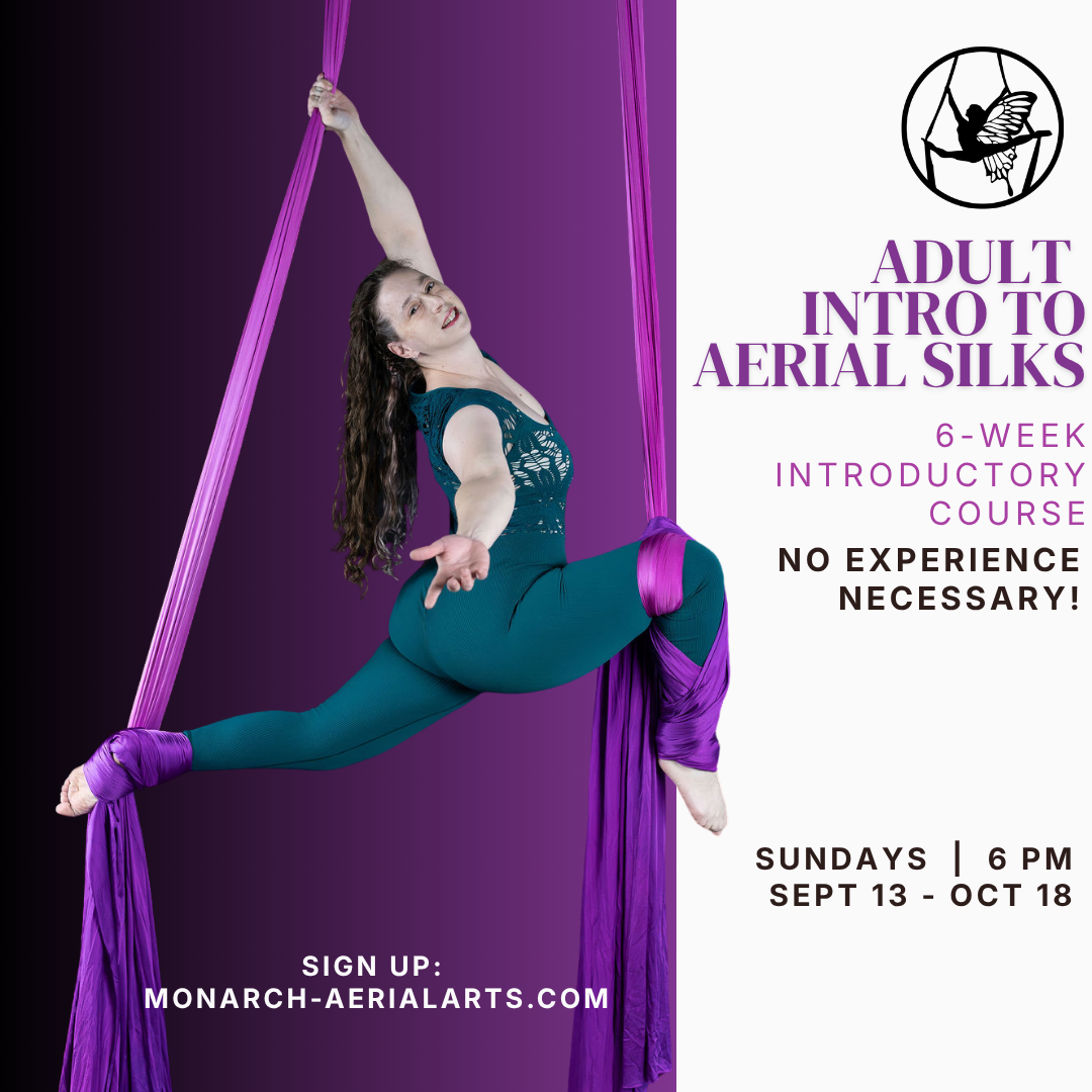 Adult Intro to Aerial Silks: 6-week Session