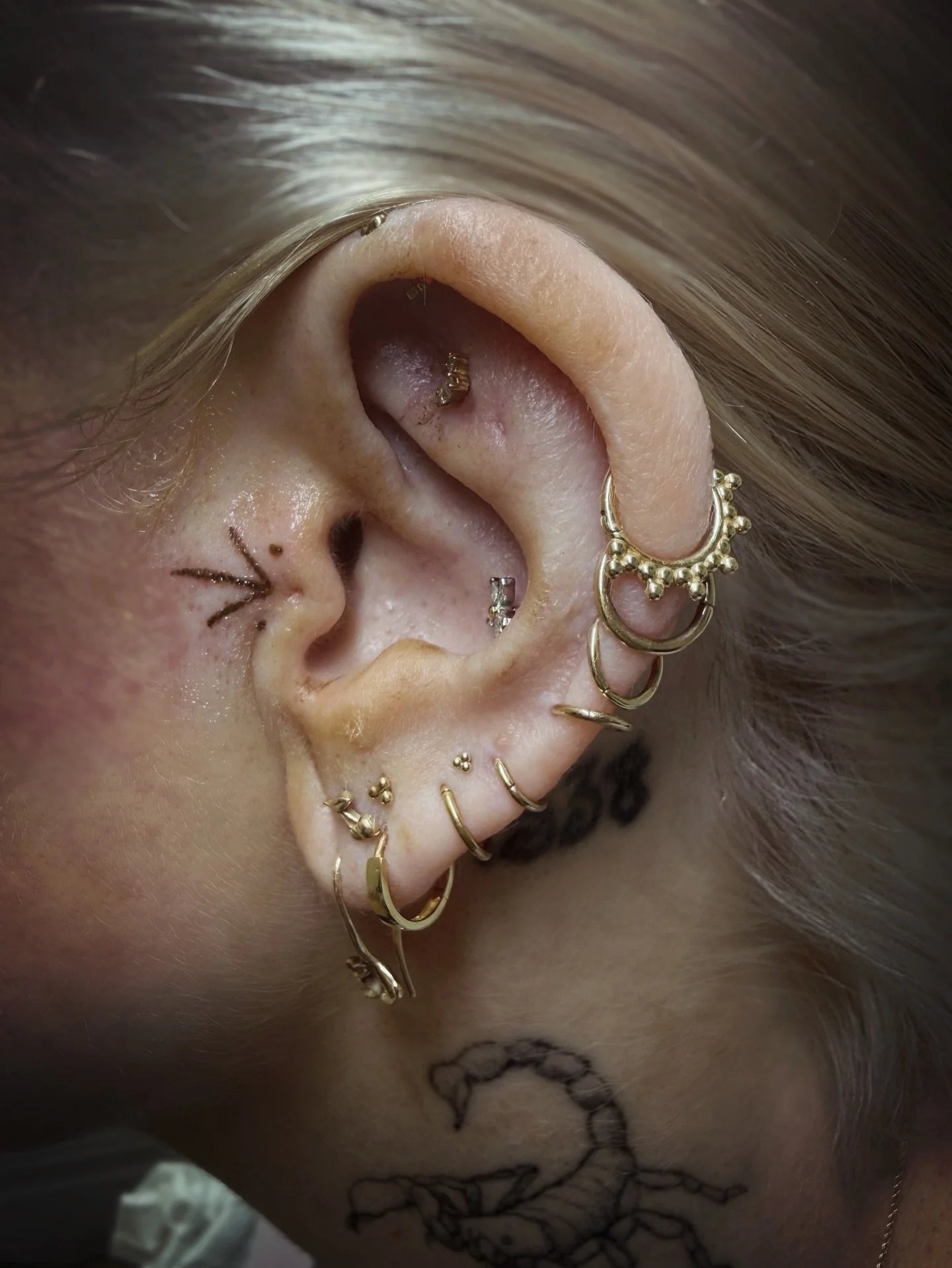➰ Simple minimalist Tragus adornment for Em, to add to her tragus piercing at the point of cygil ➰
.
DM to book yours x
.
.
.
&ndash;
#cosmetictattoo #cosmetictattooer ###cosmetictattoomelbourne pmu permanentmakeup permanentmakeupmelb