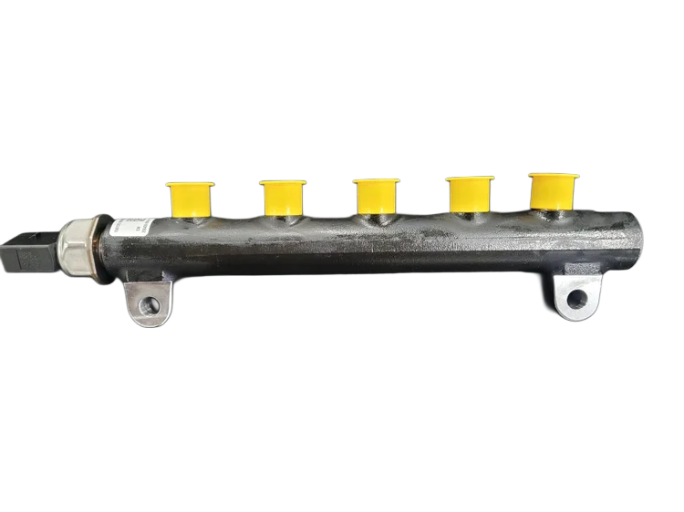 D24 Fuel Common Rail