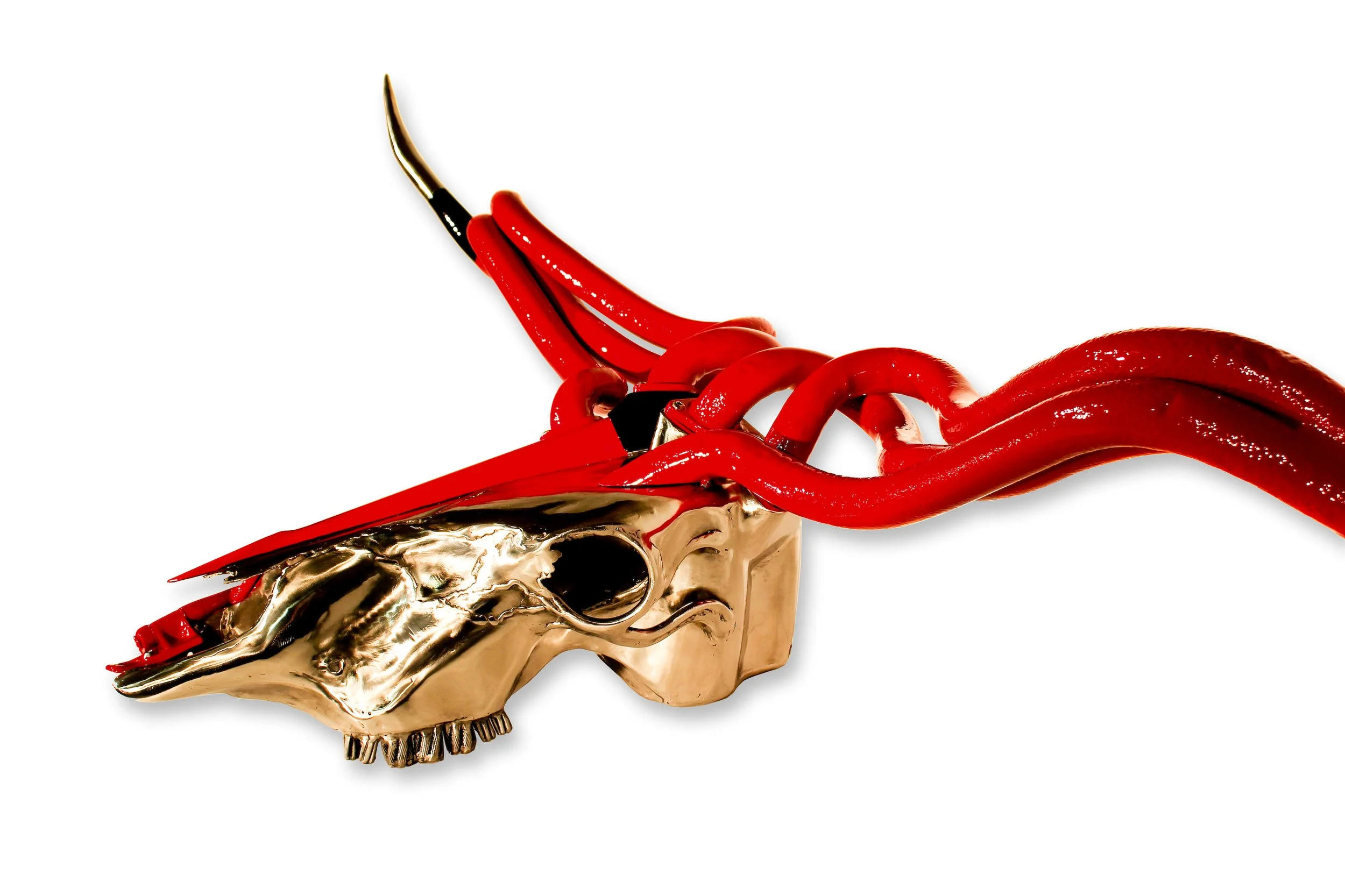 GTB Daytona Longhorn F005 | SOLD