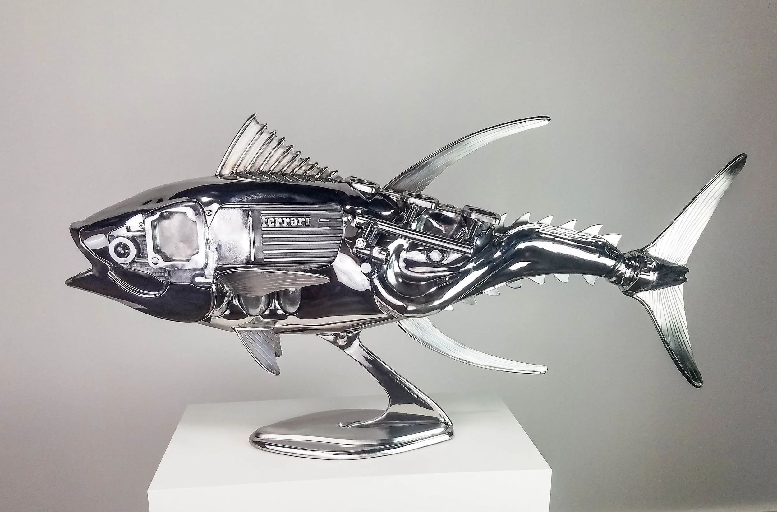 Tuna 550 | SOLD