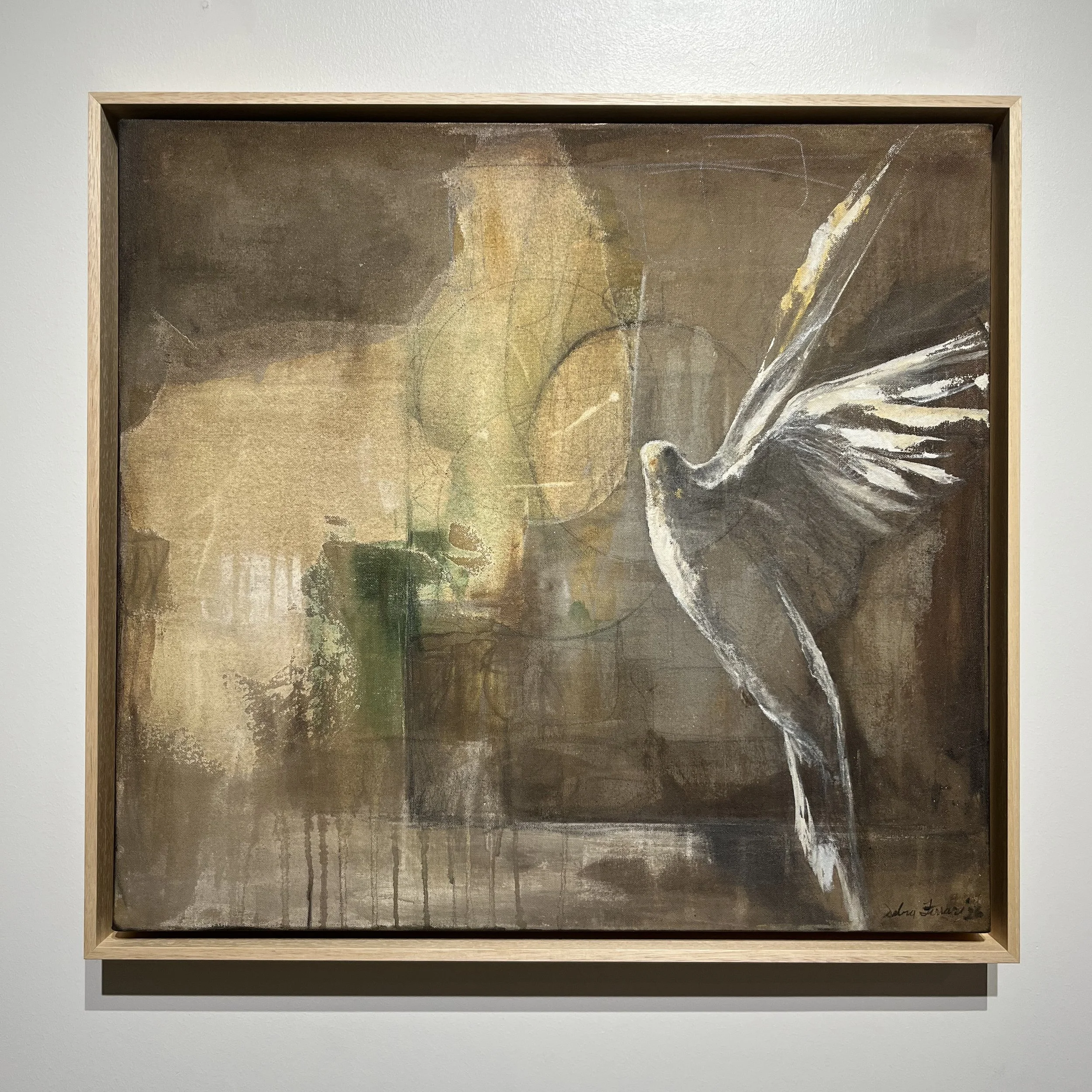 QD369 Front View.jpg