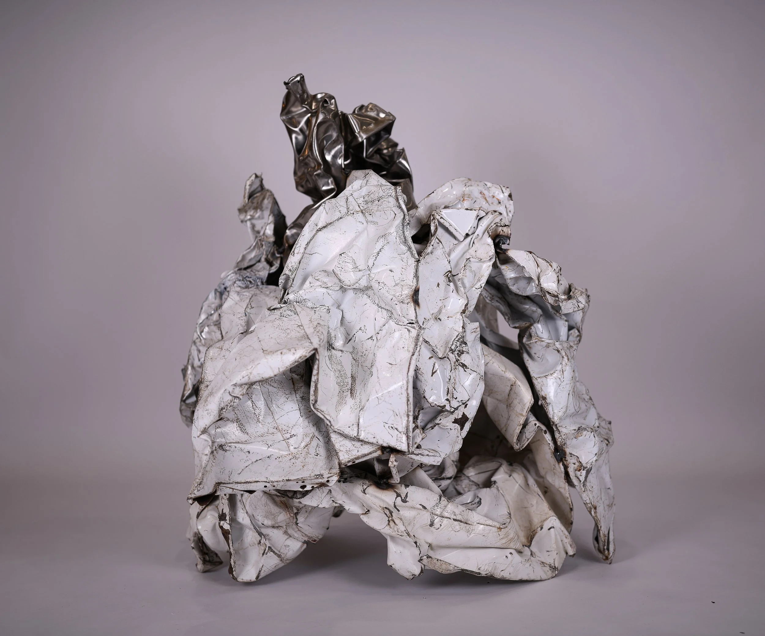 Exalted Back web.jpg