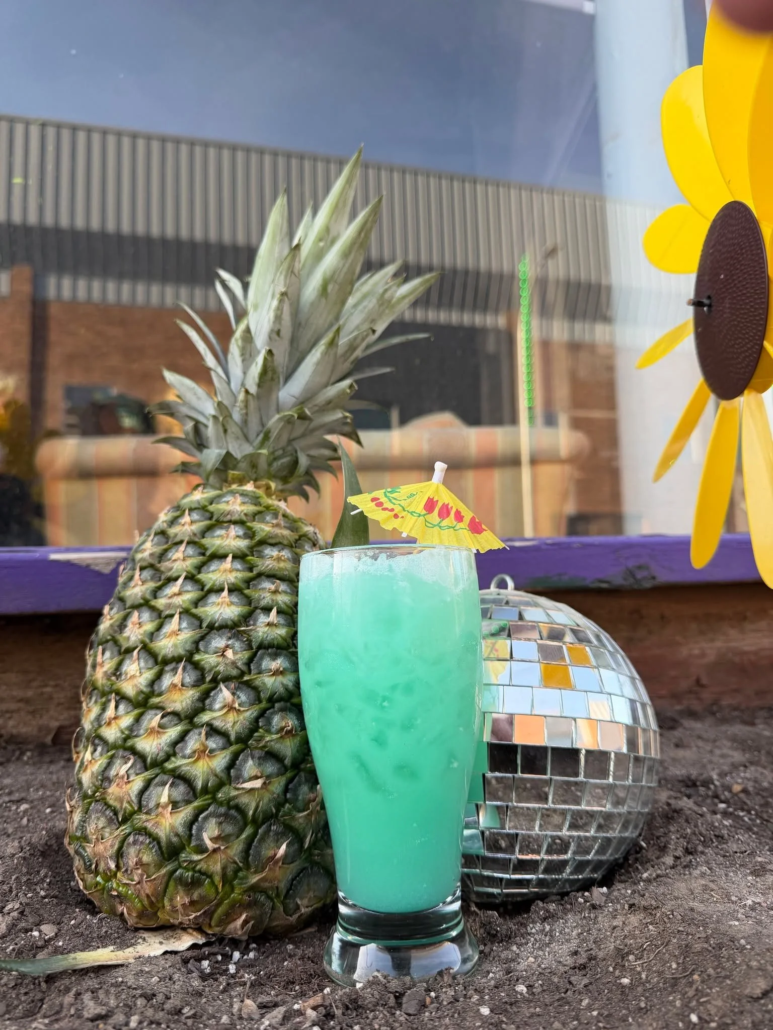 Saturday Day Night Fever at The Warp Zone is this Saturday!  We will have throwback cocktails from the 70s by Trevor and Shelby is hosting Disco Singo at 8pm.  Pictured is a sneak peek of a few of the cocktails that will be available:
The Hurricane -