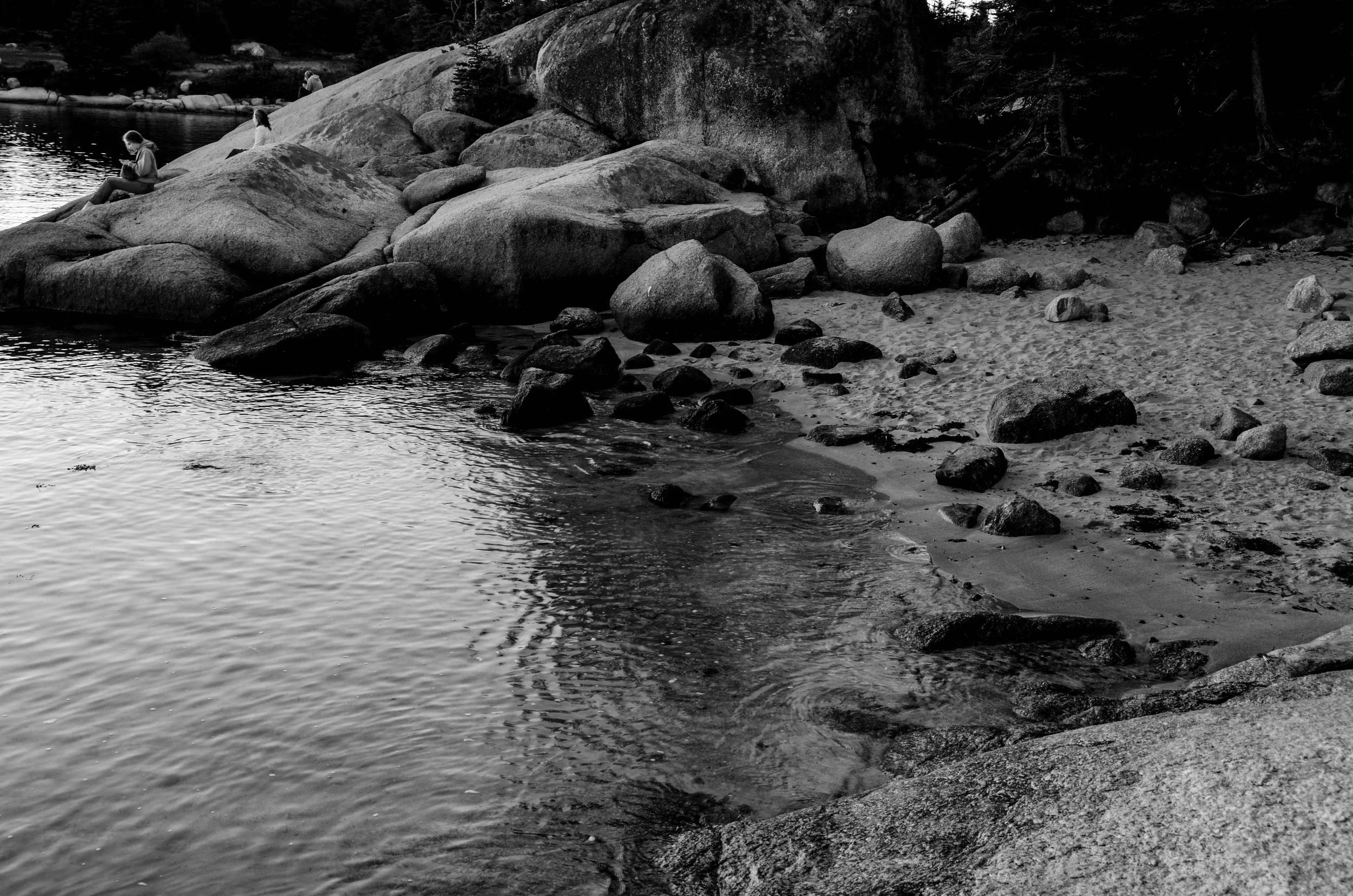 _DSC7032.jpg