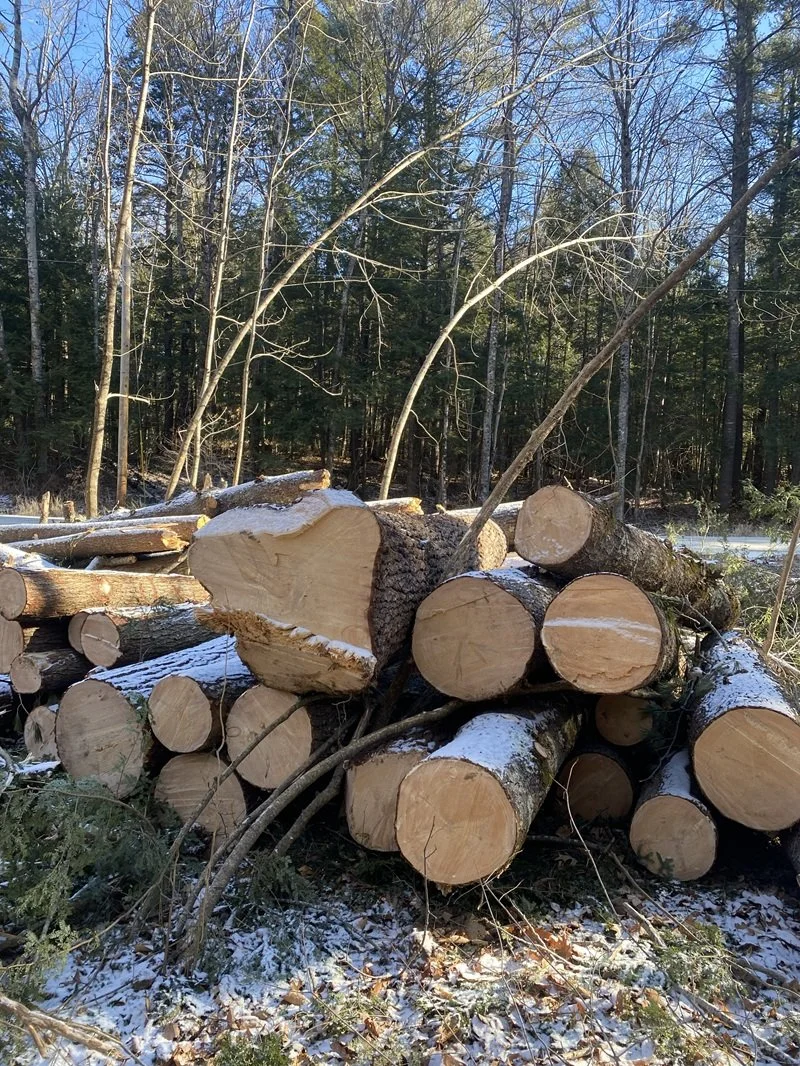 $275,000 settlement reached in Maine timber trespass case