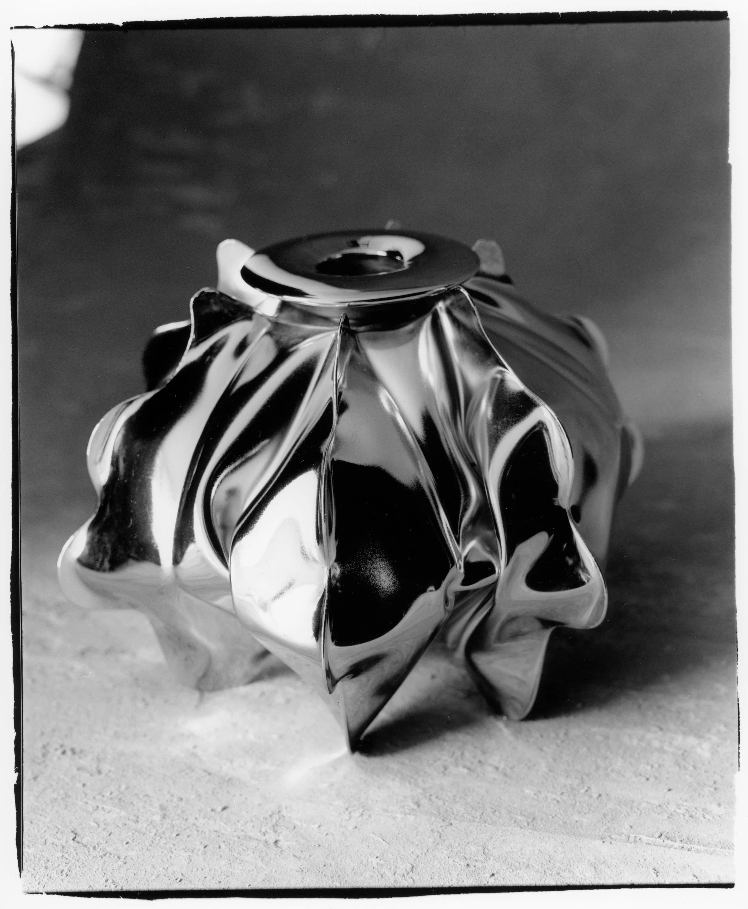 Douglas Powell, Physalia 1, 2025.Photo © Dylan Le'mon.jpg